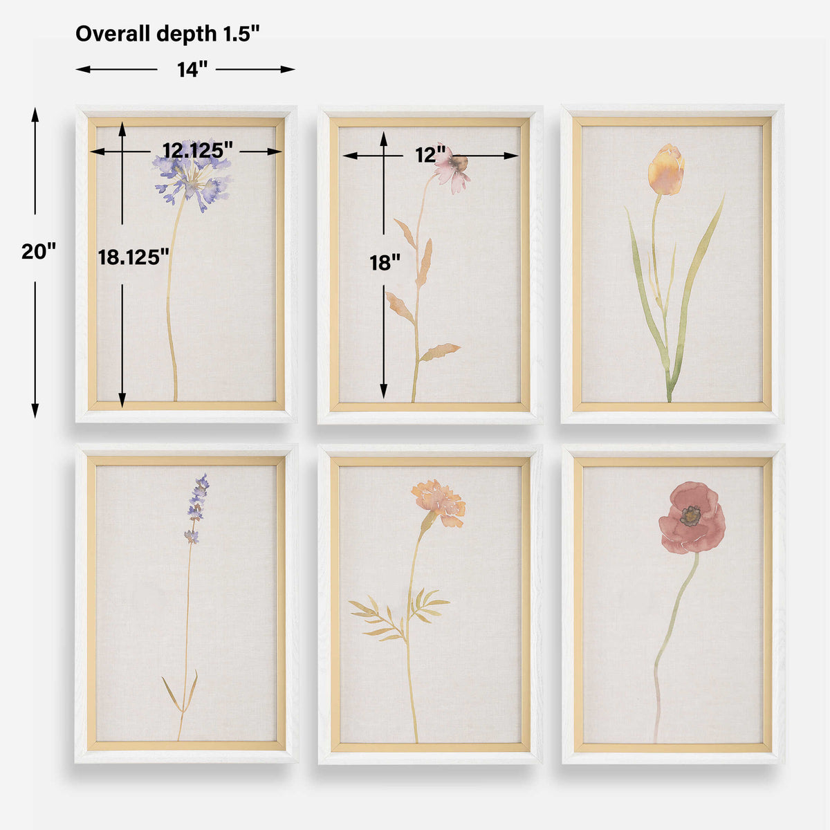 Wild Flourish Multicolor Framed Floral Prints (Set of 6) - Ornate Home