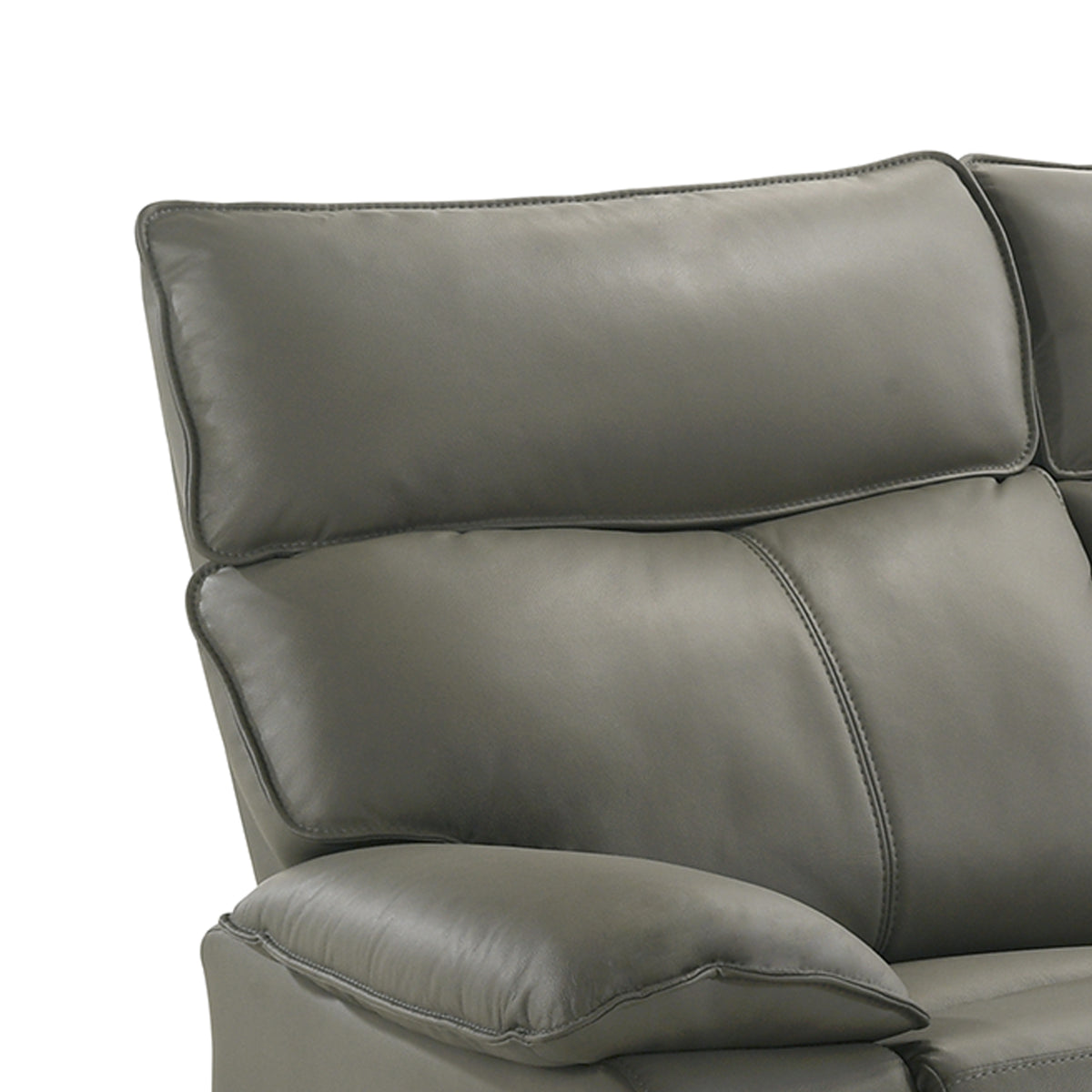 Wildcat Aviarah Grey Motion Loveseat - Ornate Home