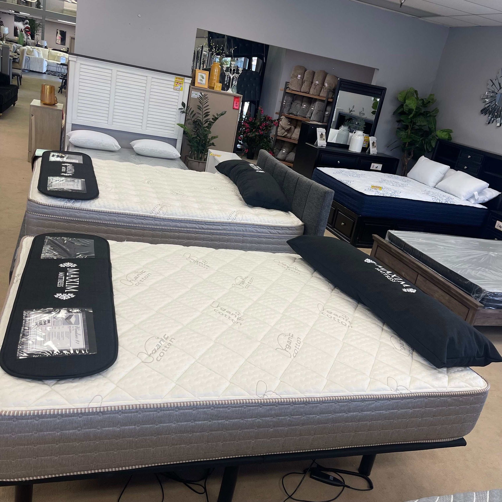 Windmill #1 Taupe Tight Top 12" Mattress / Extra Firm - Ornate Home