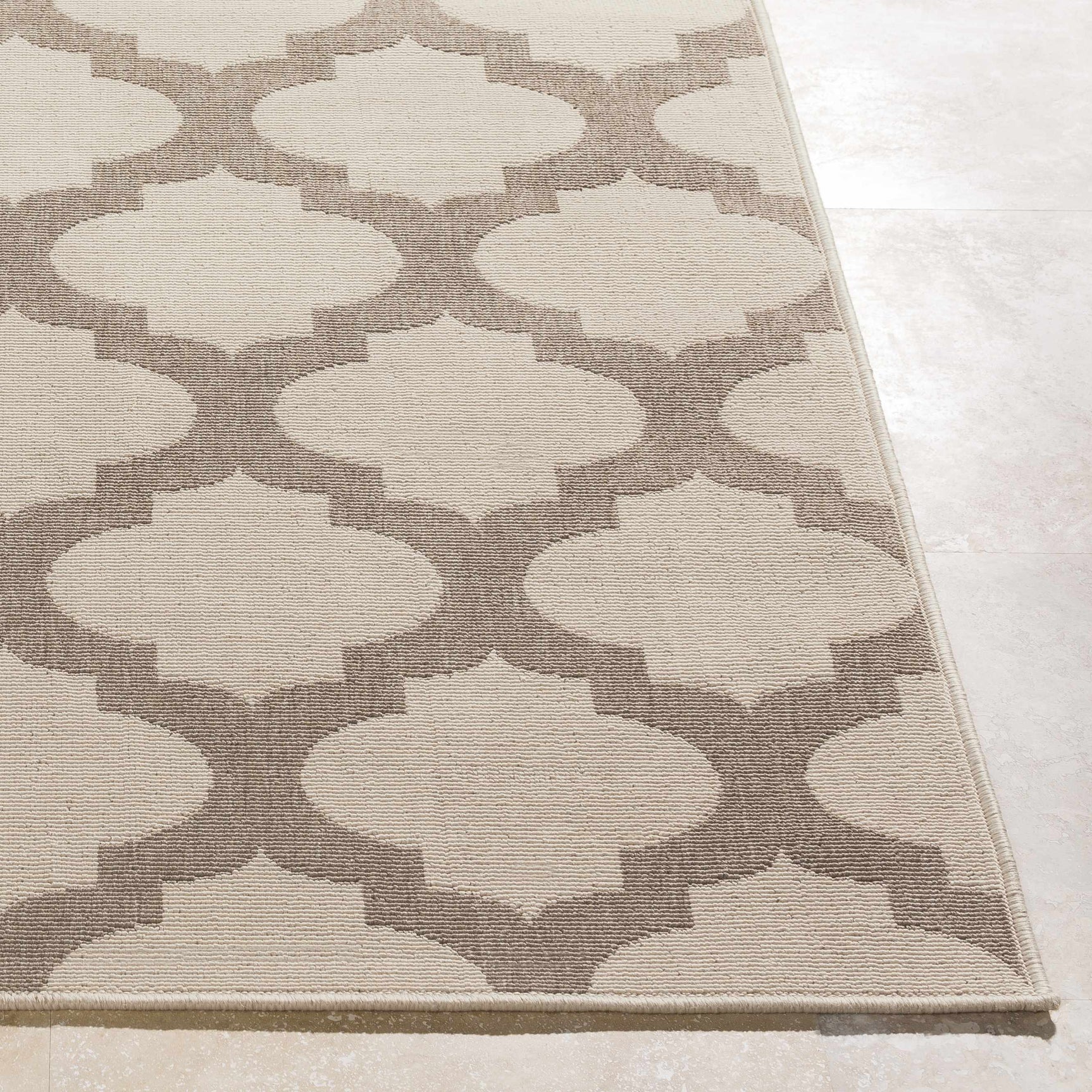 Winterville Outdoor Area Rug - Clearance - Ornate Home