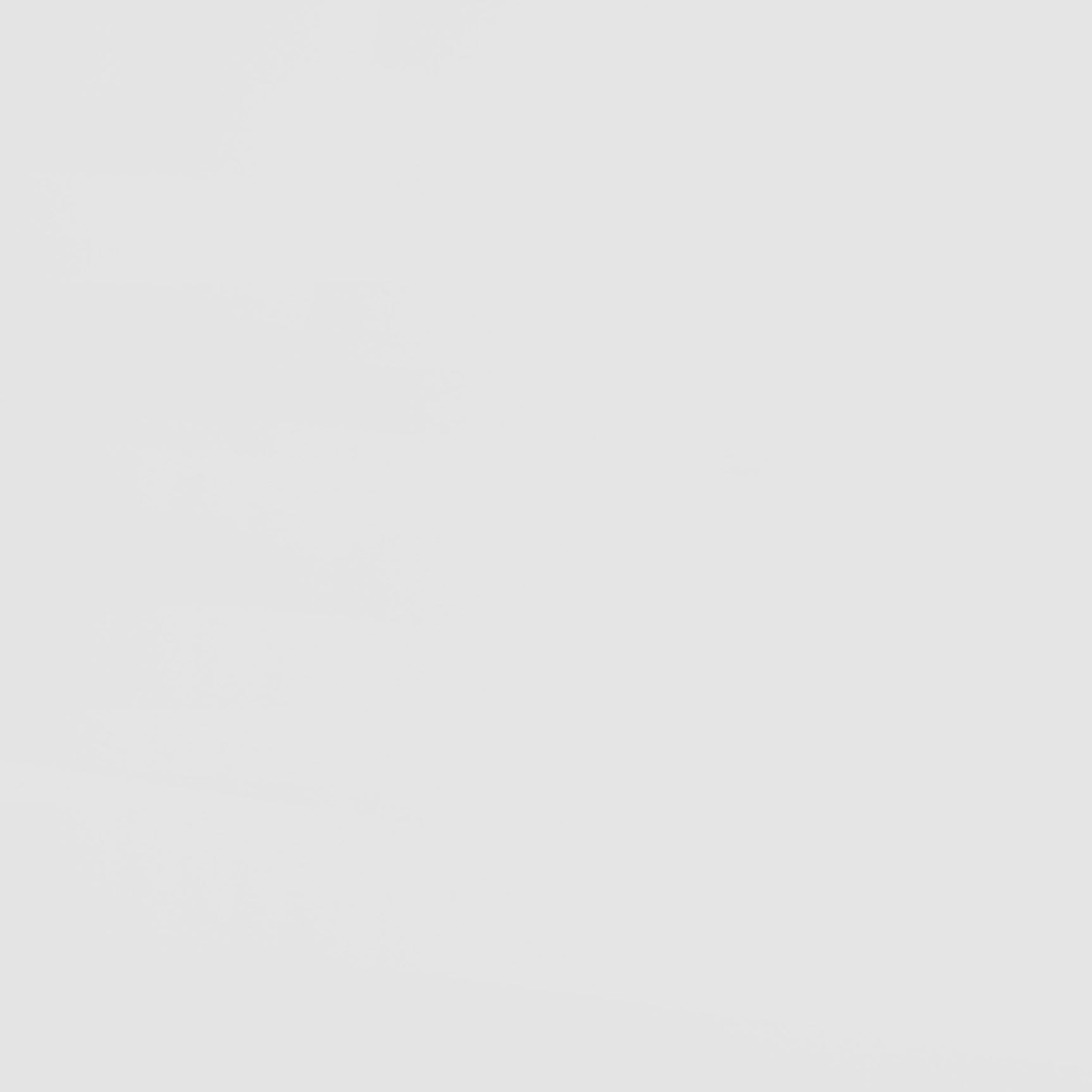 Wyatt White / Natural Twin Over Twin Bunk Bed - Ornate Home