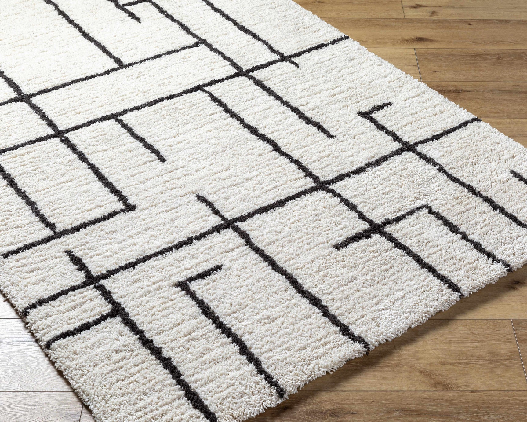 Xenos Area Rug - Clearance - Ornate Home