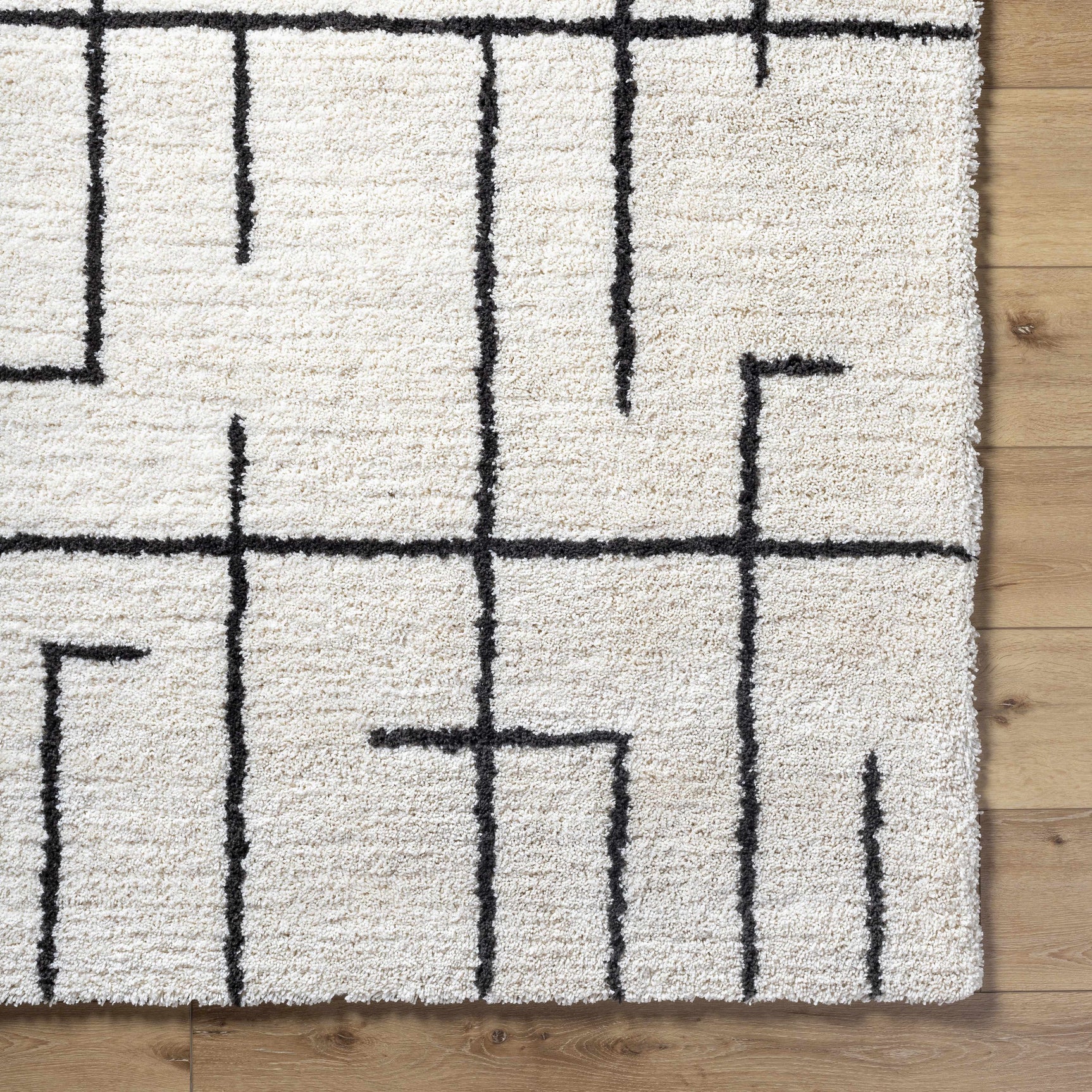 Xenos Area Rug - Clearance - Ornate Home