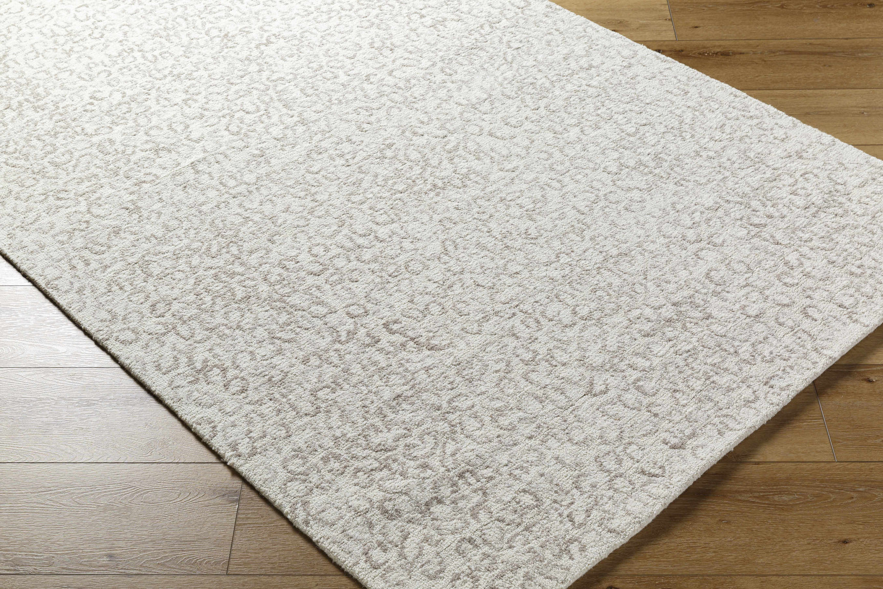 Zayit Area Rug - Clearance - Ornate Home