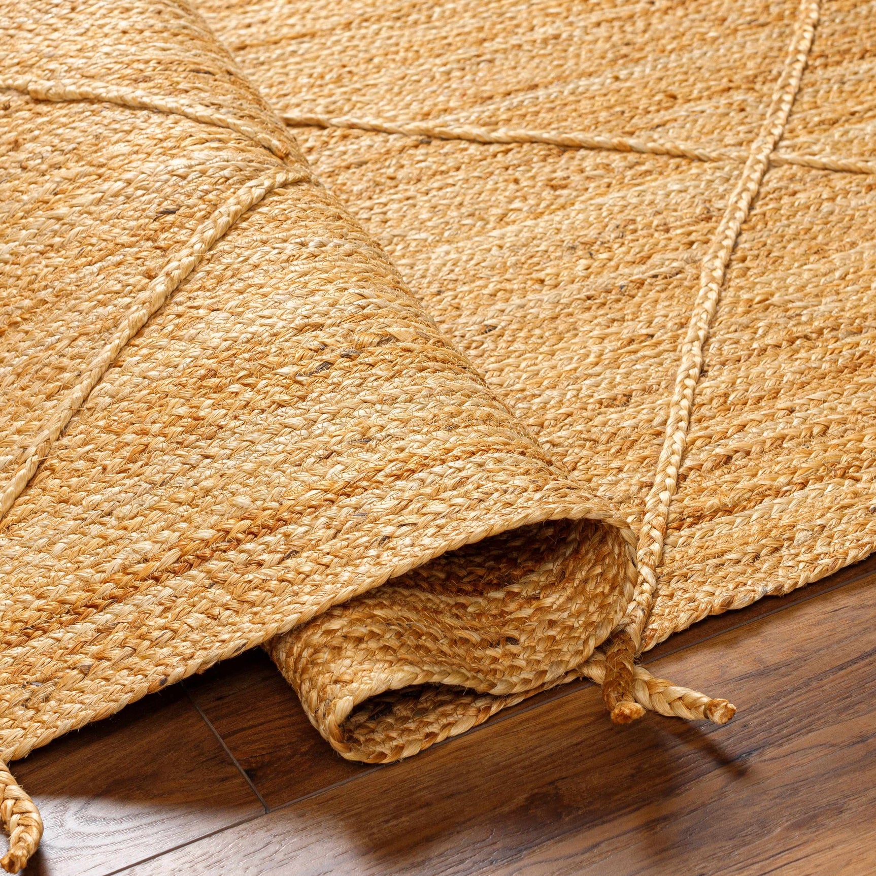 Zeno Area Rug - Clearance - Ornate Home