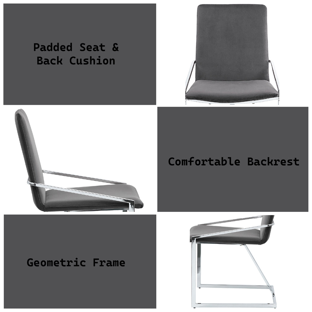 Zlatan Gray Side Chair (Set of 2) - Ornate Home