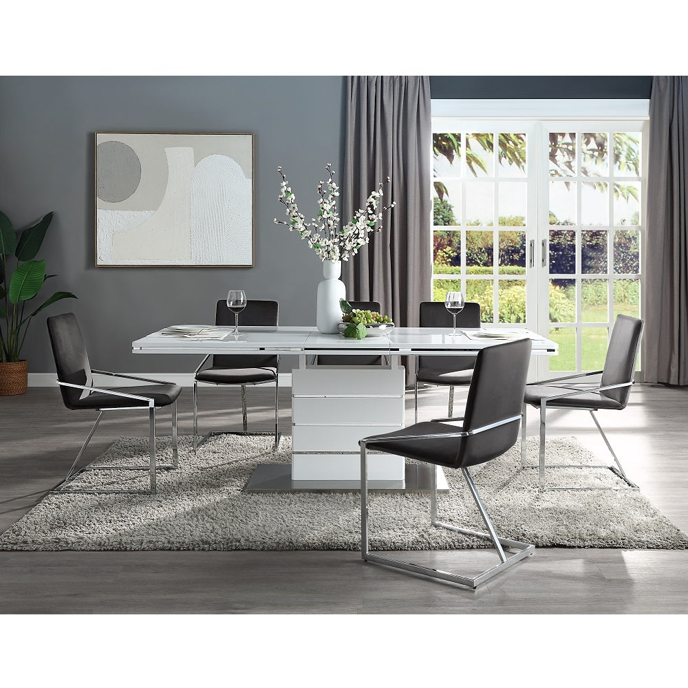 Zlatan Gray Side Chair (Set of 2) - Ornate Home