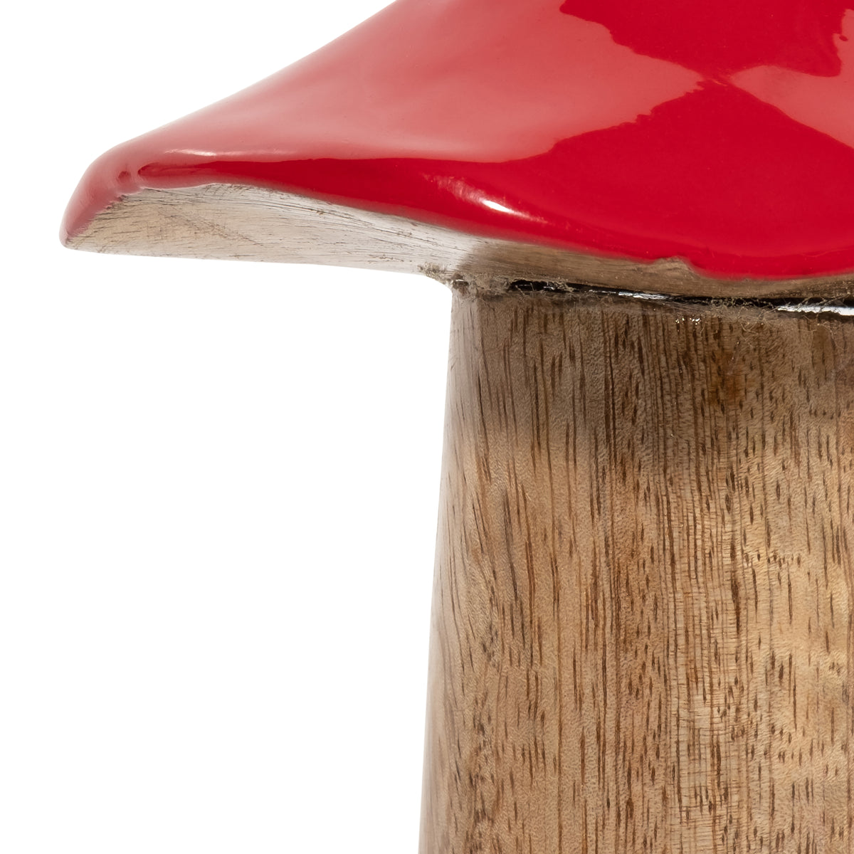 Cedar Stock Red Wood Toadstool Mushroom