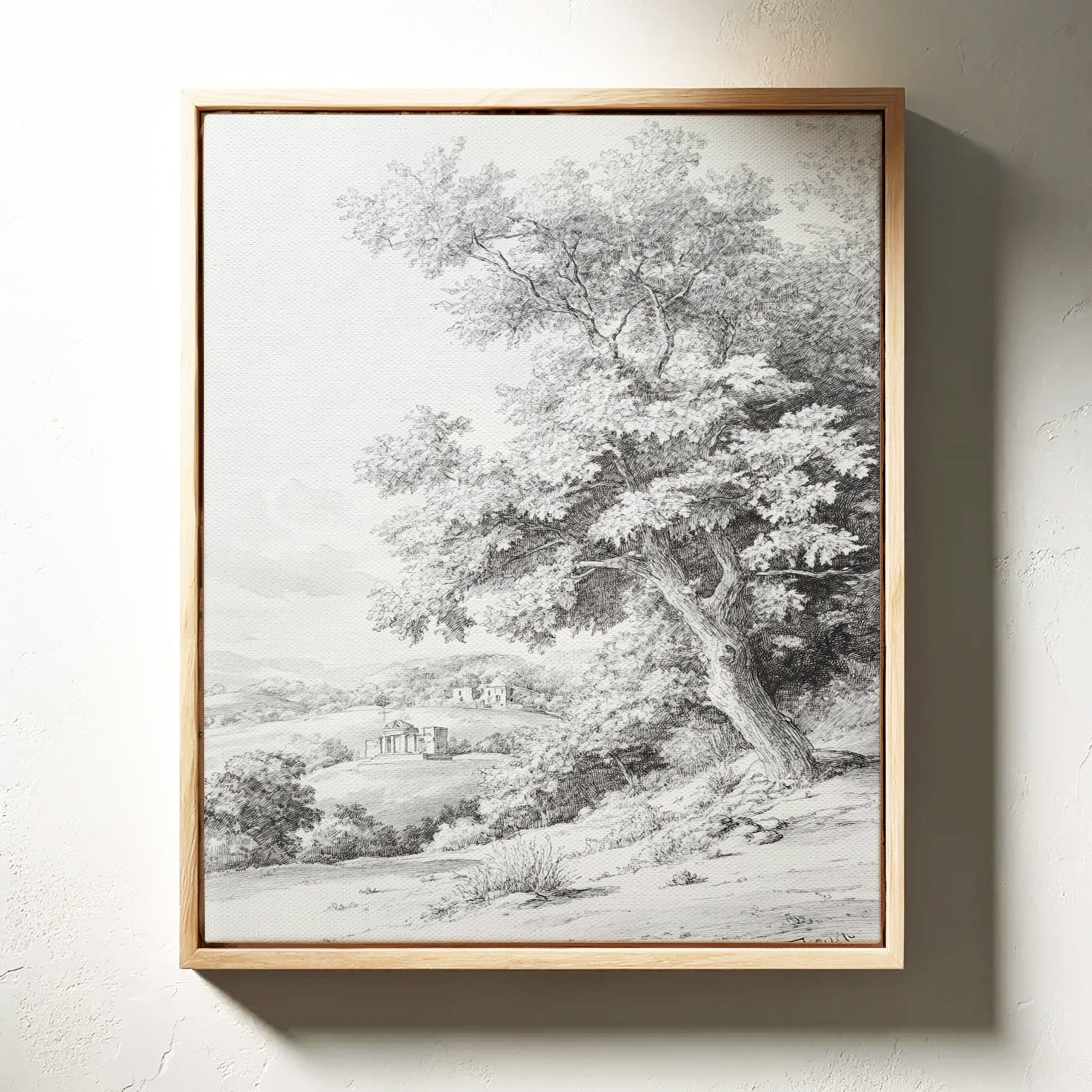 Ancients Tree