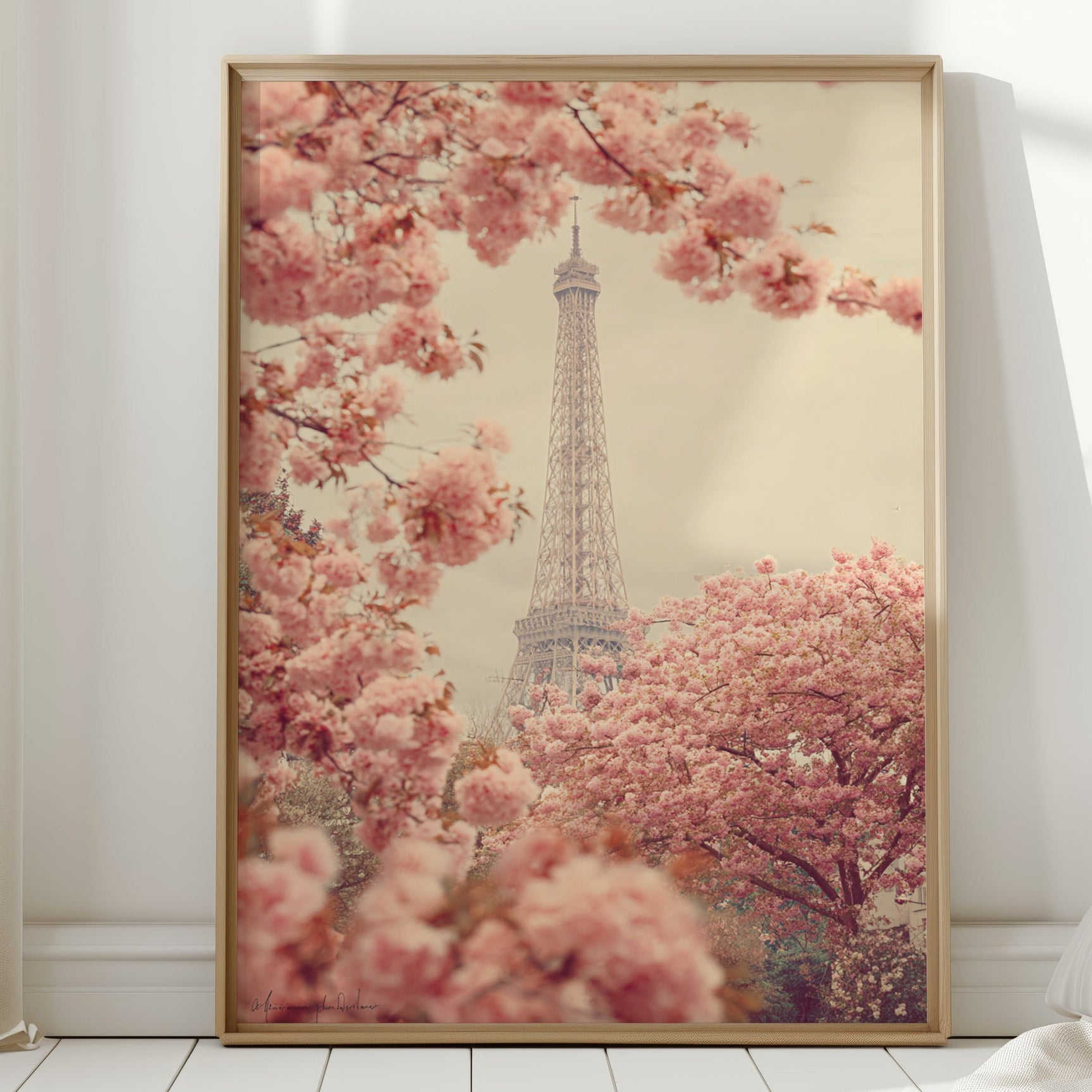 Petals Dance Beneath Parisian Skies