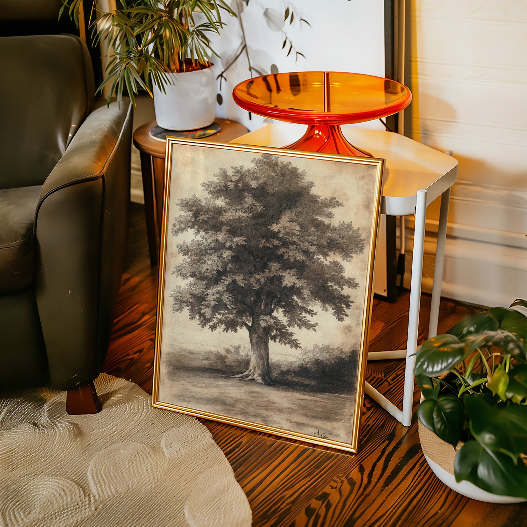 Timeless Oaks