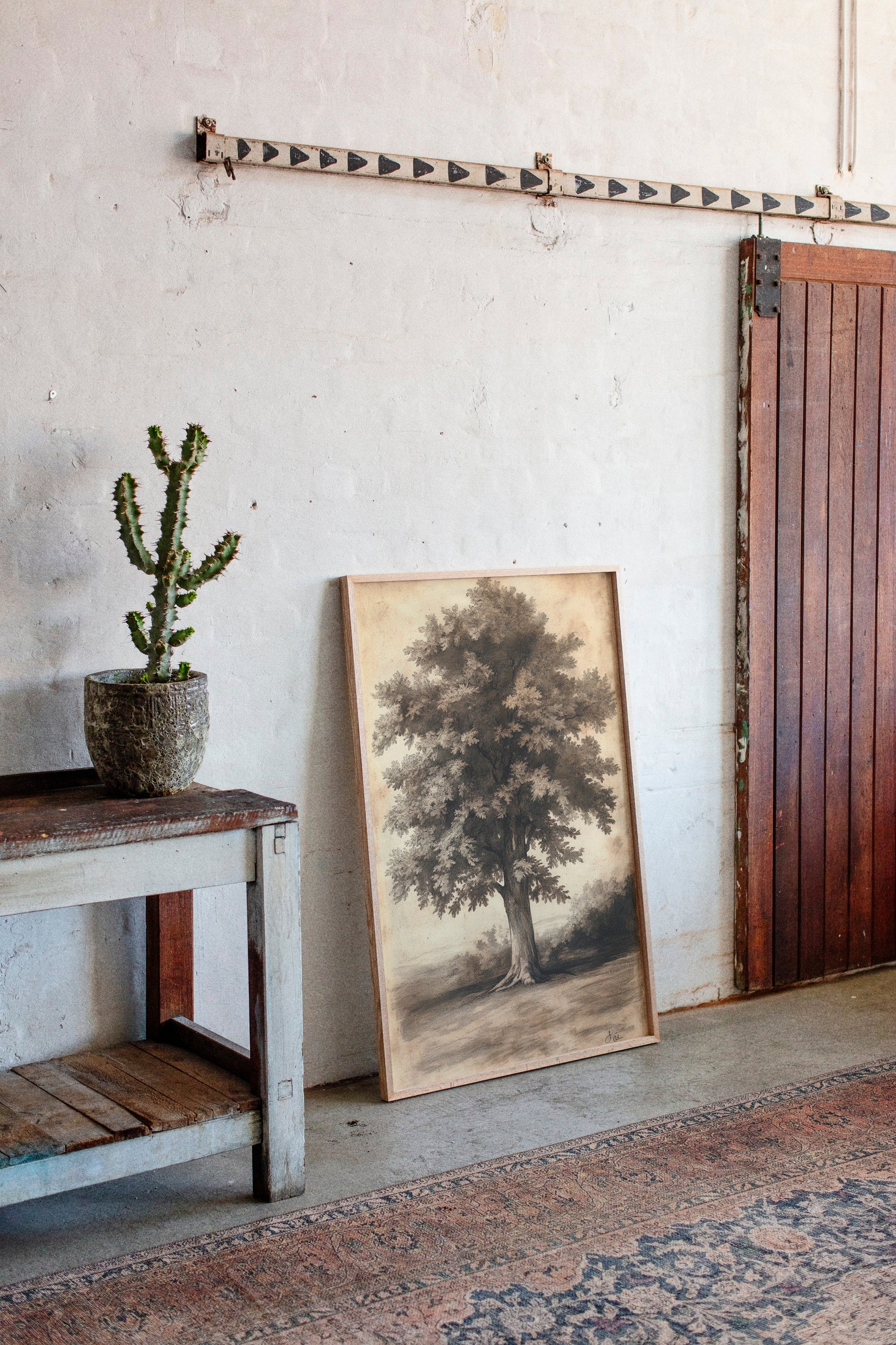 Timeless Oaks
