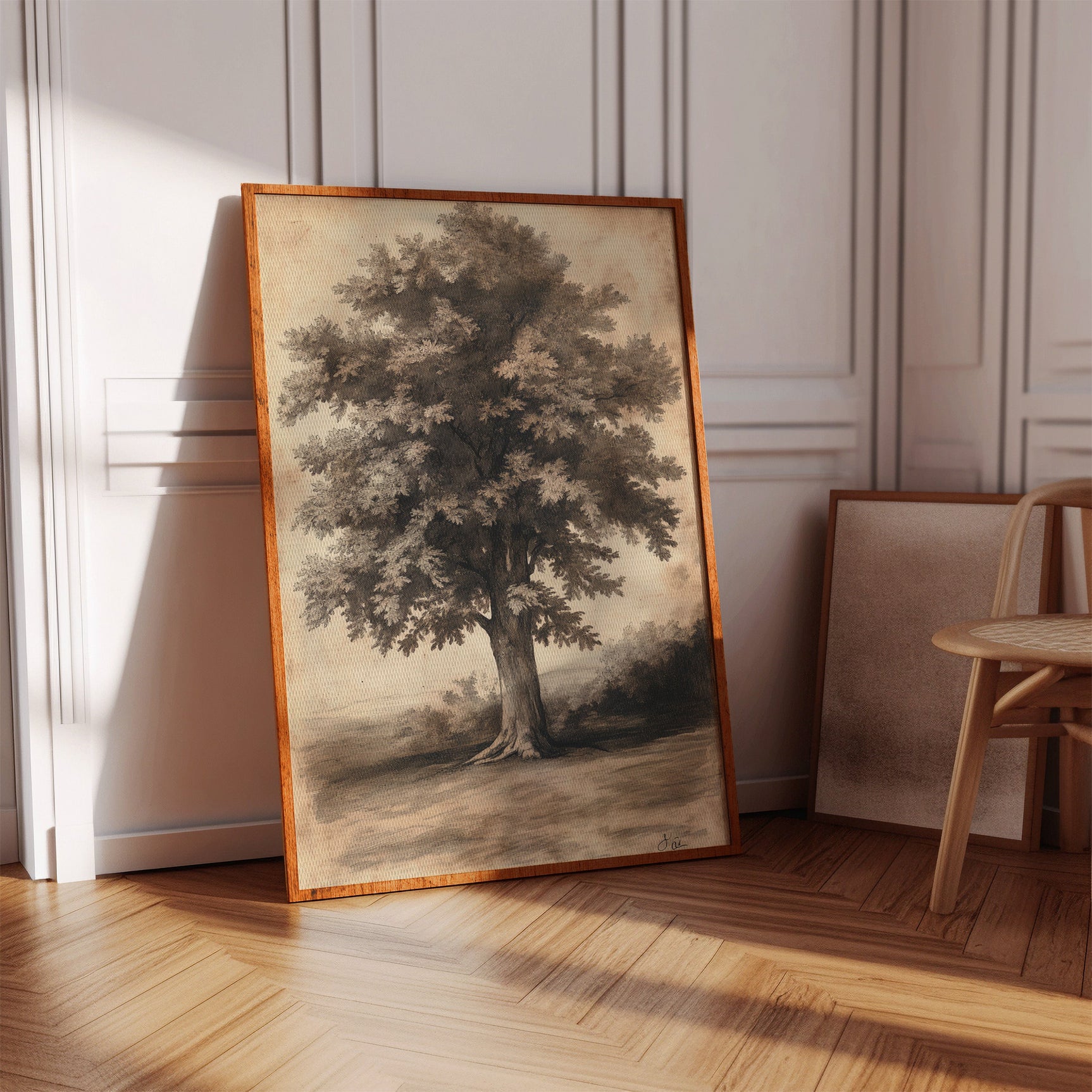 Timeless Oaks
