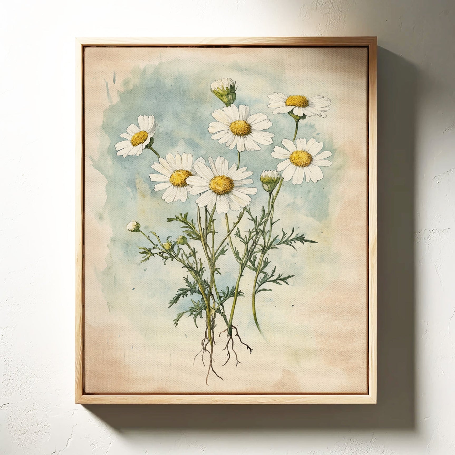 Daisy Dreams