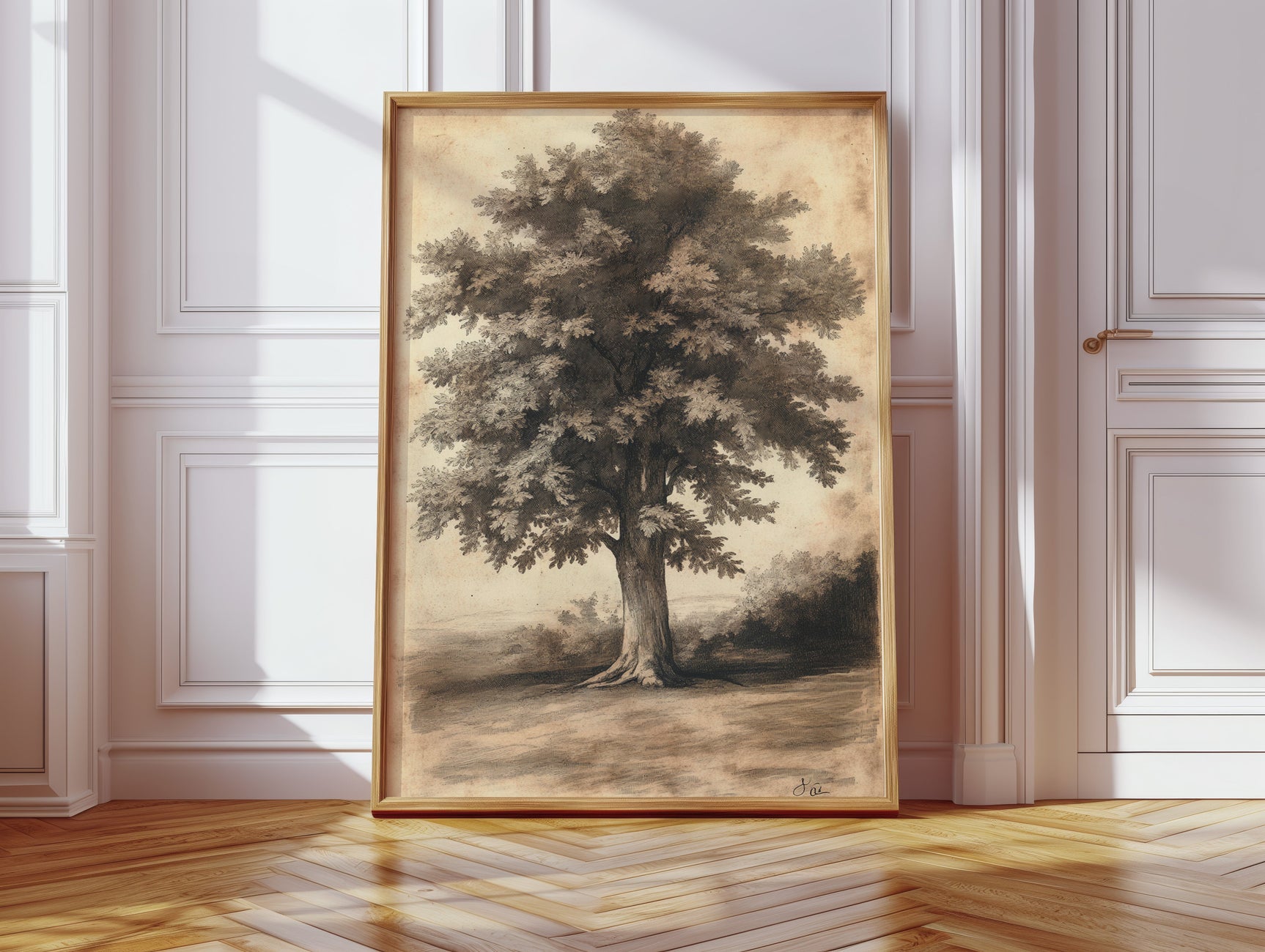 Timeless Oaks