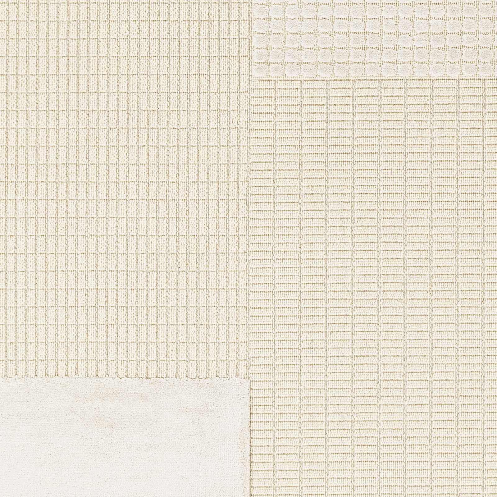 Lice Area Rug - Clearance