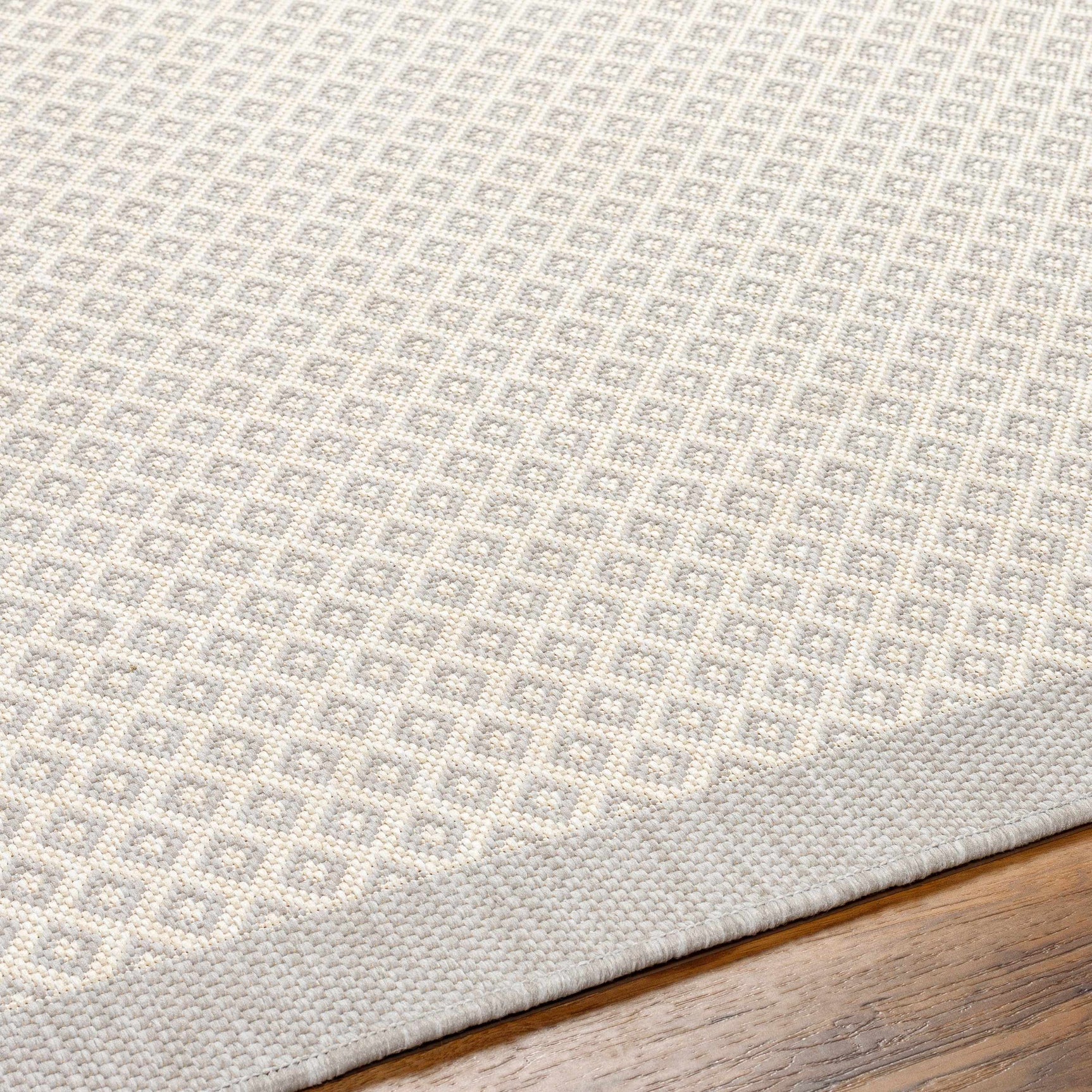 Suzu Outdoor Area Rug - Clearance