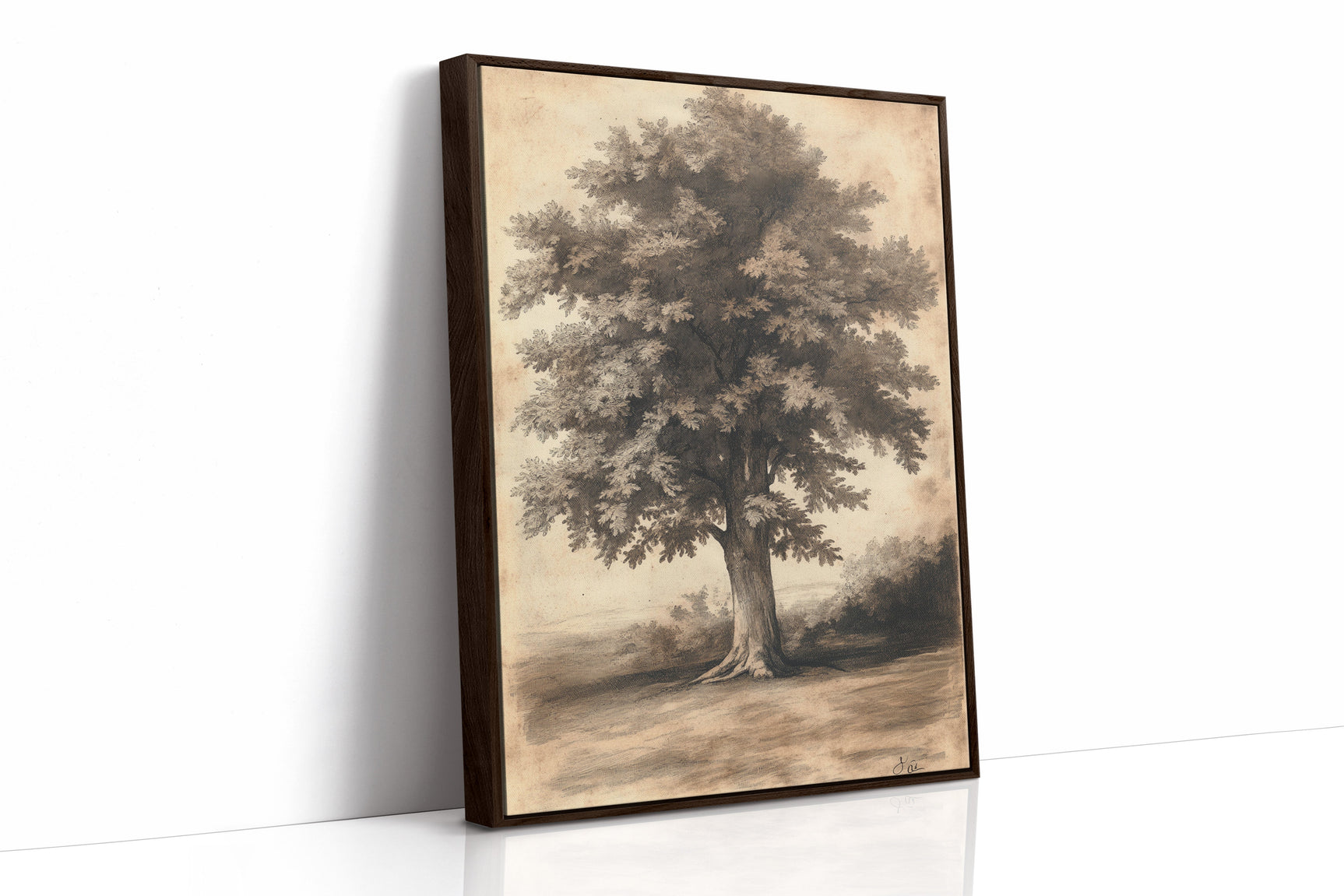 Timeless Oaks