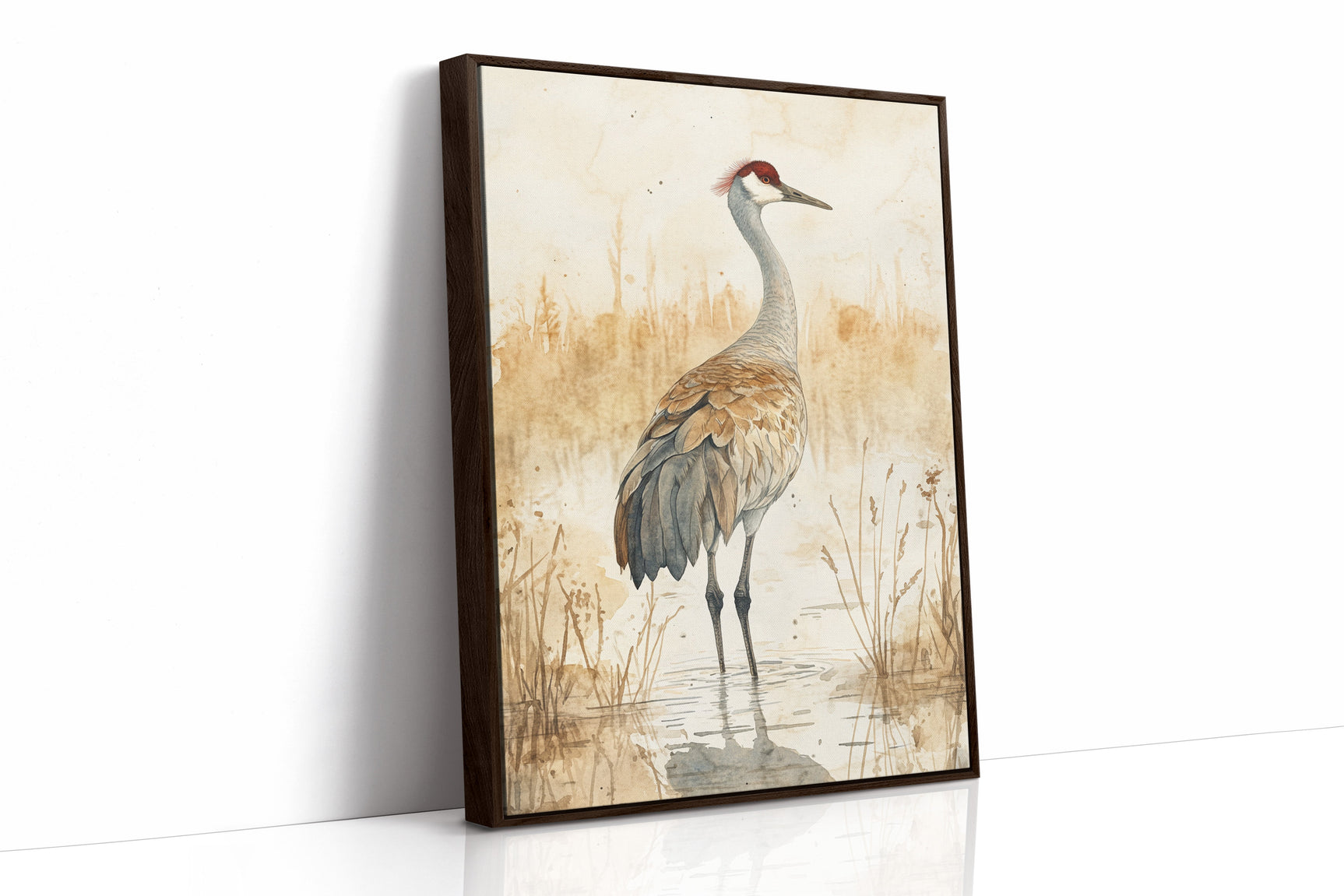 Serenity of the Crane