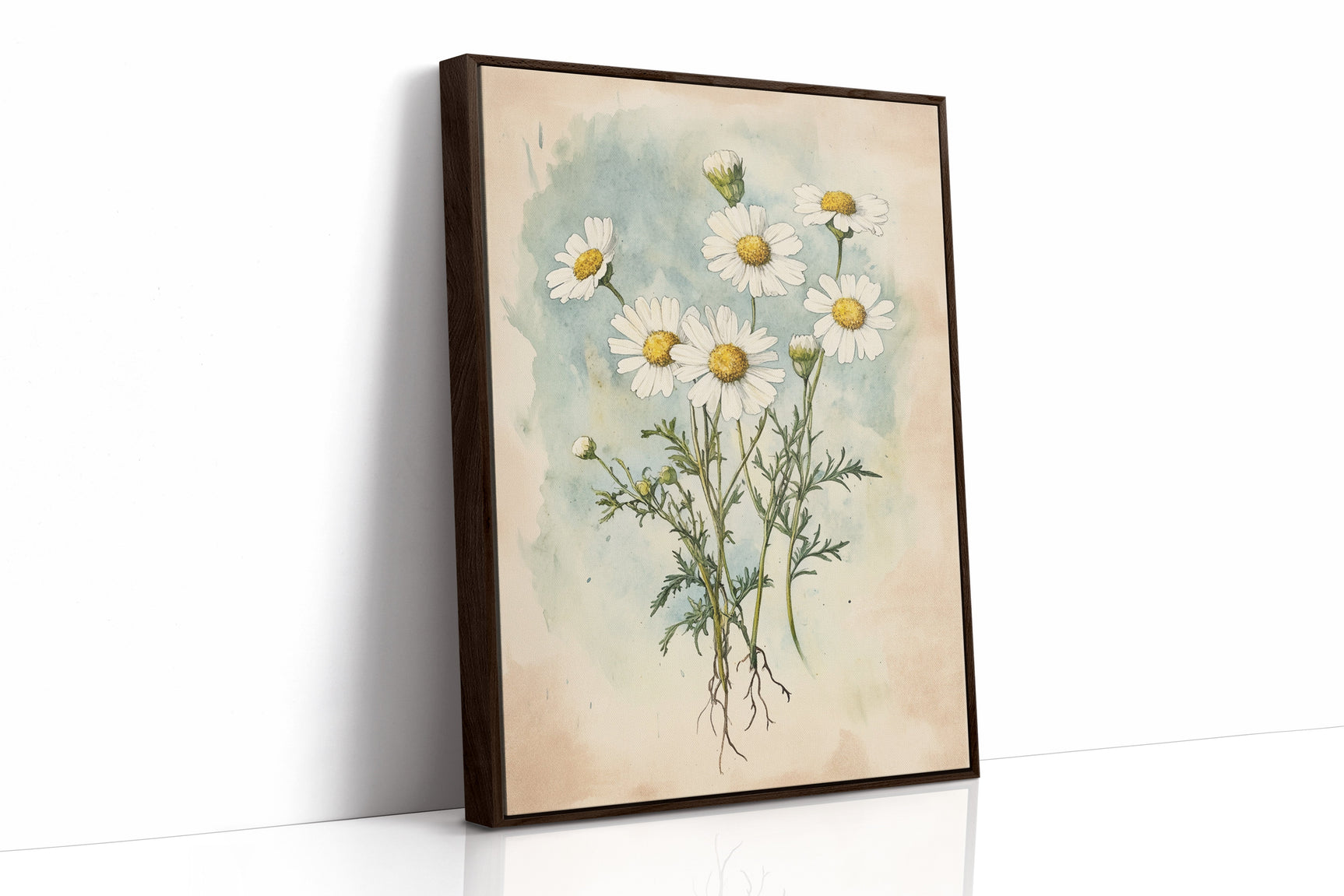 Daisy Dreams