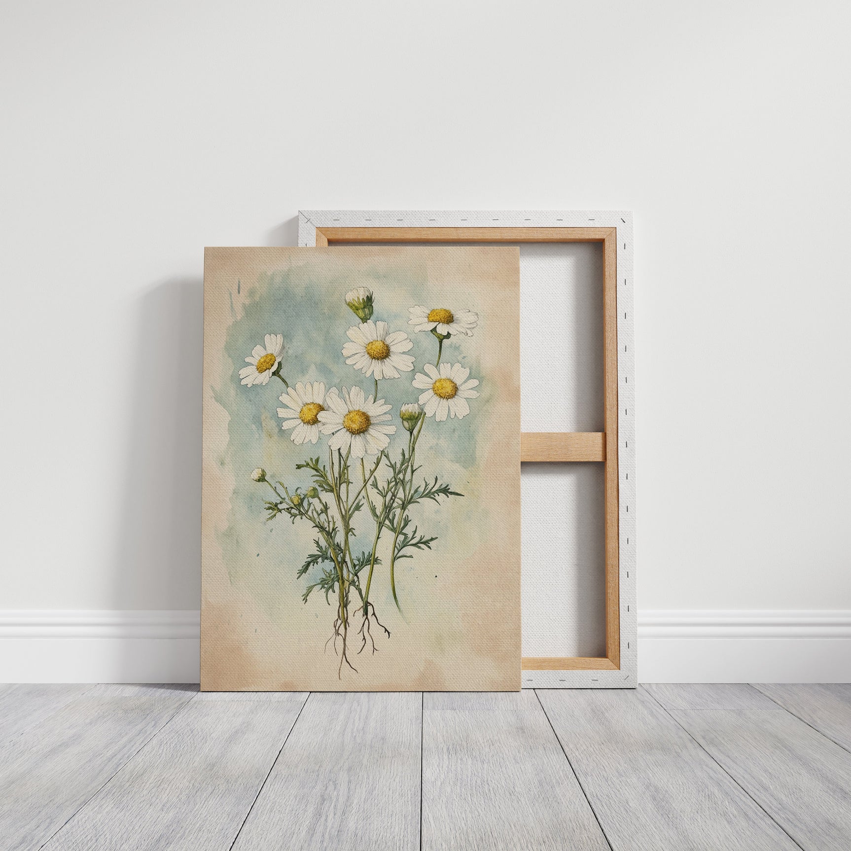 Daisy Dreams