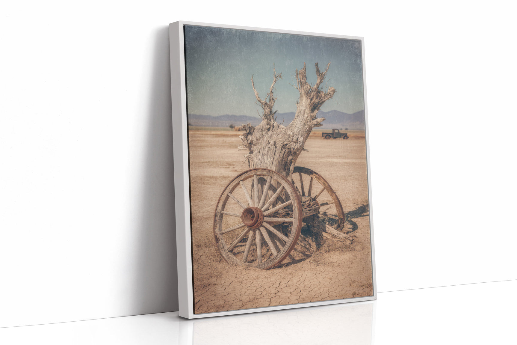 Roots of Forgotten Journeys