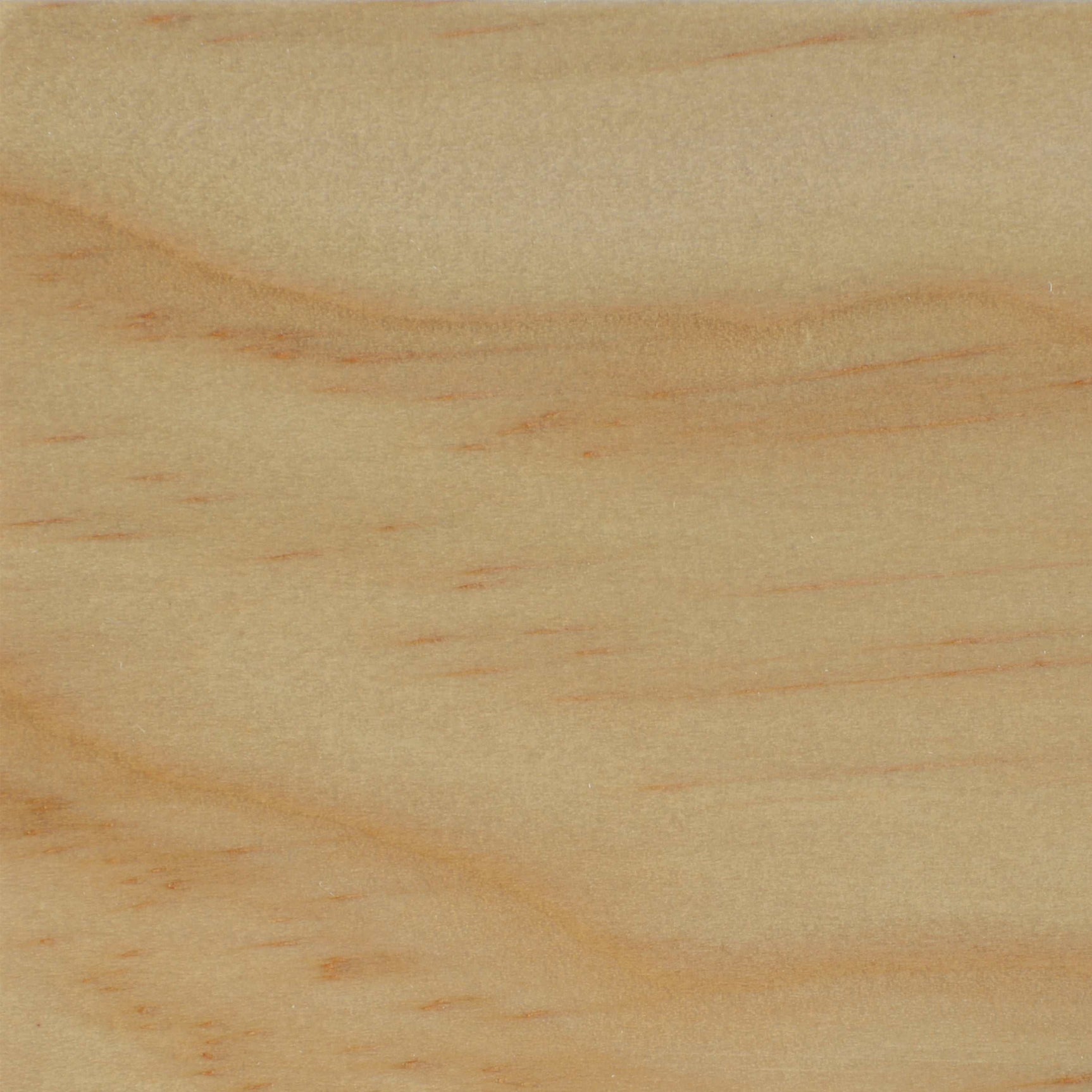 Carrie Natural & White 3pc Panel Screen - Ornate Home