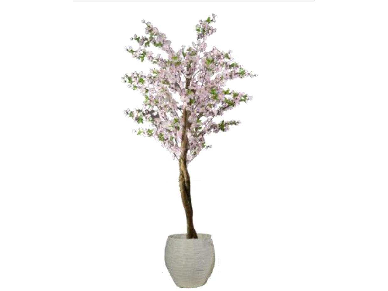 Cherry Tree / 6.5’ - Ornate Home