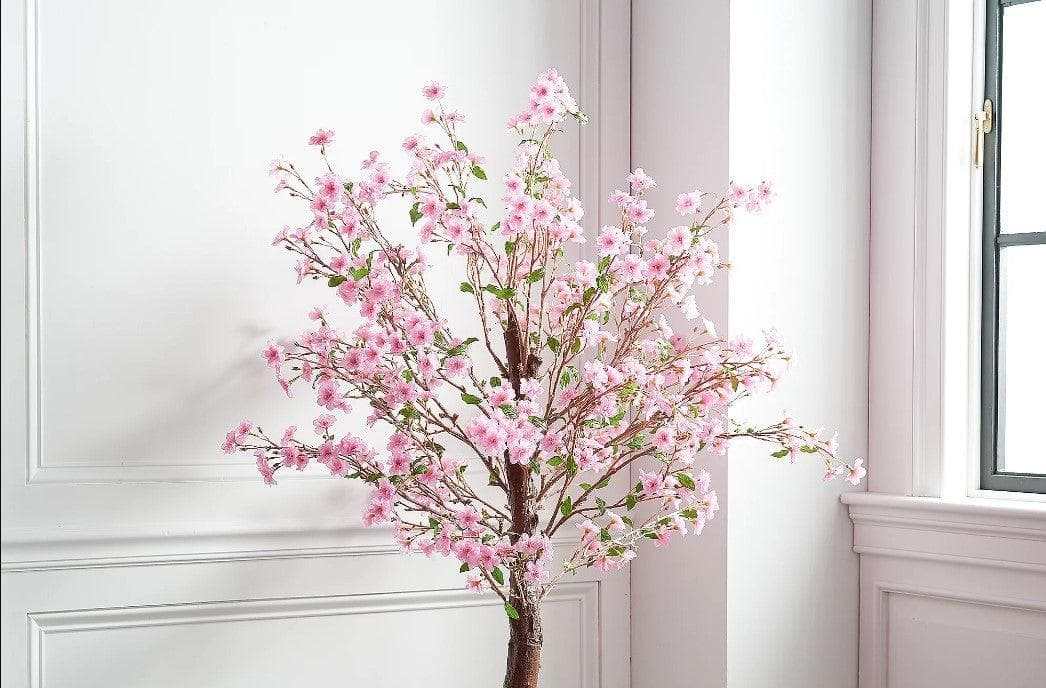 Cherry Tree / 6.5’ - Ornate Home