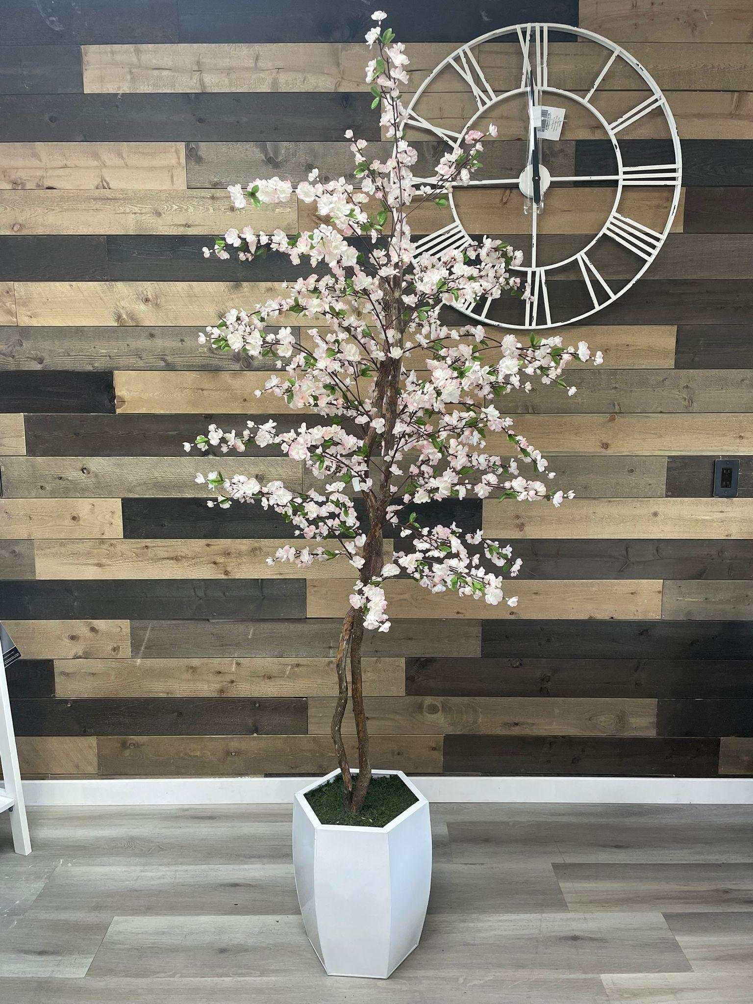 Cherry Tree / 6.5’ - Ornate Home