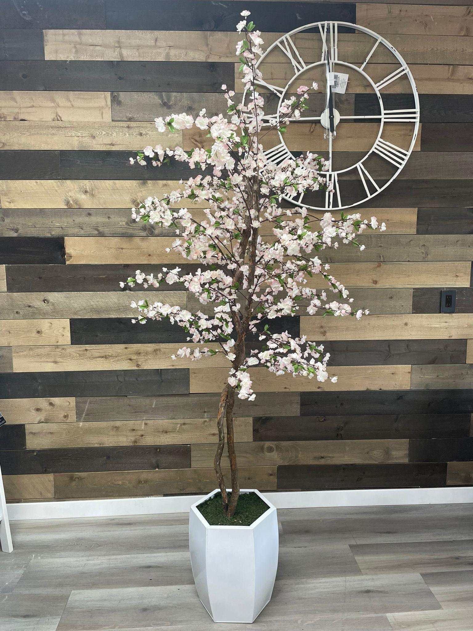 Cherry Tree / 6.5’ - Ornate Home