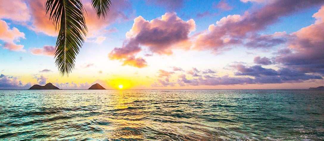 Coastal Sunset Tempered Glass w / Foil Wall Art - Ornate Home