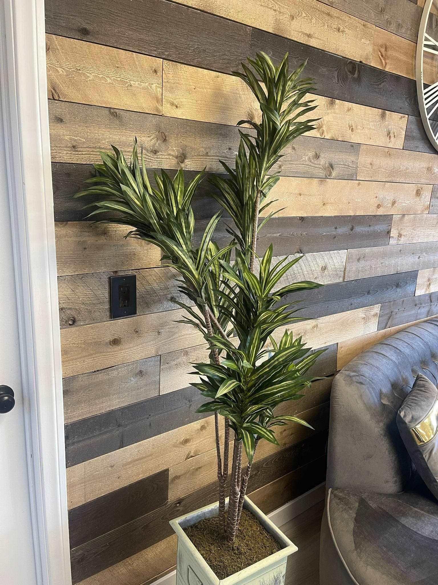 Deluxe Yucca in Metal / 6’ - Ornate Home