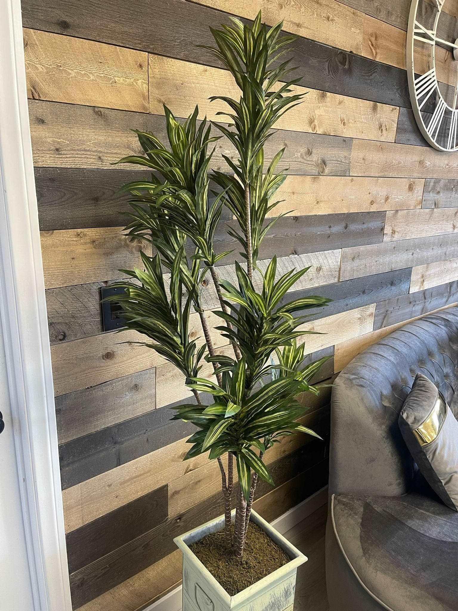 Deluxe Yucca in Metal / 6’ - Ornate Home