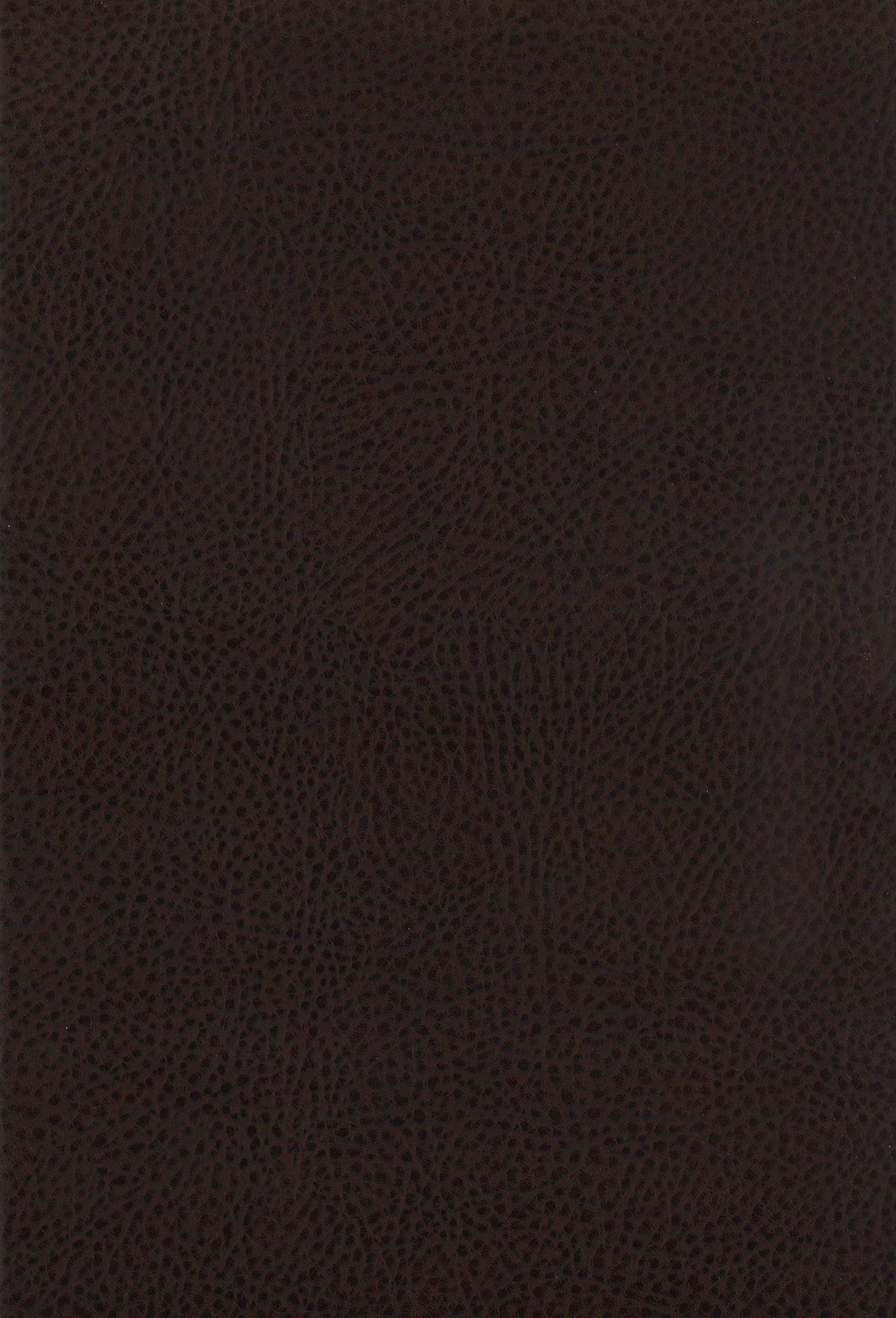 Dewey Walnut / Brown Counter Stool (Set of 2) - Ornate Home