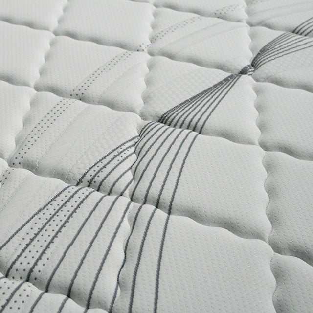 Edrea White/Gray 10" Tight Top Pocket Coil Full Mattress - Ornate Home