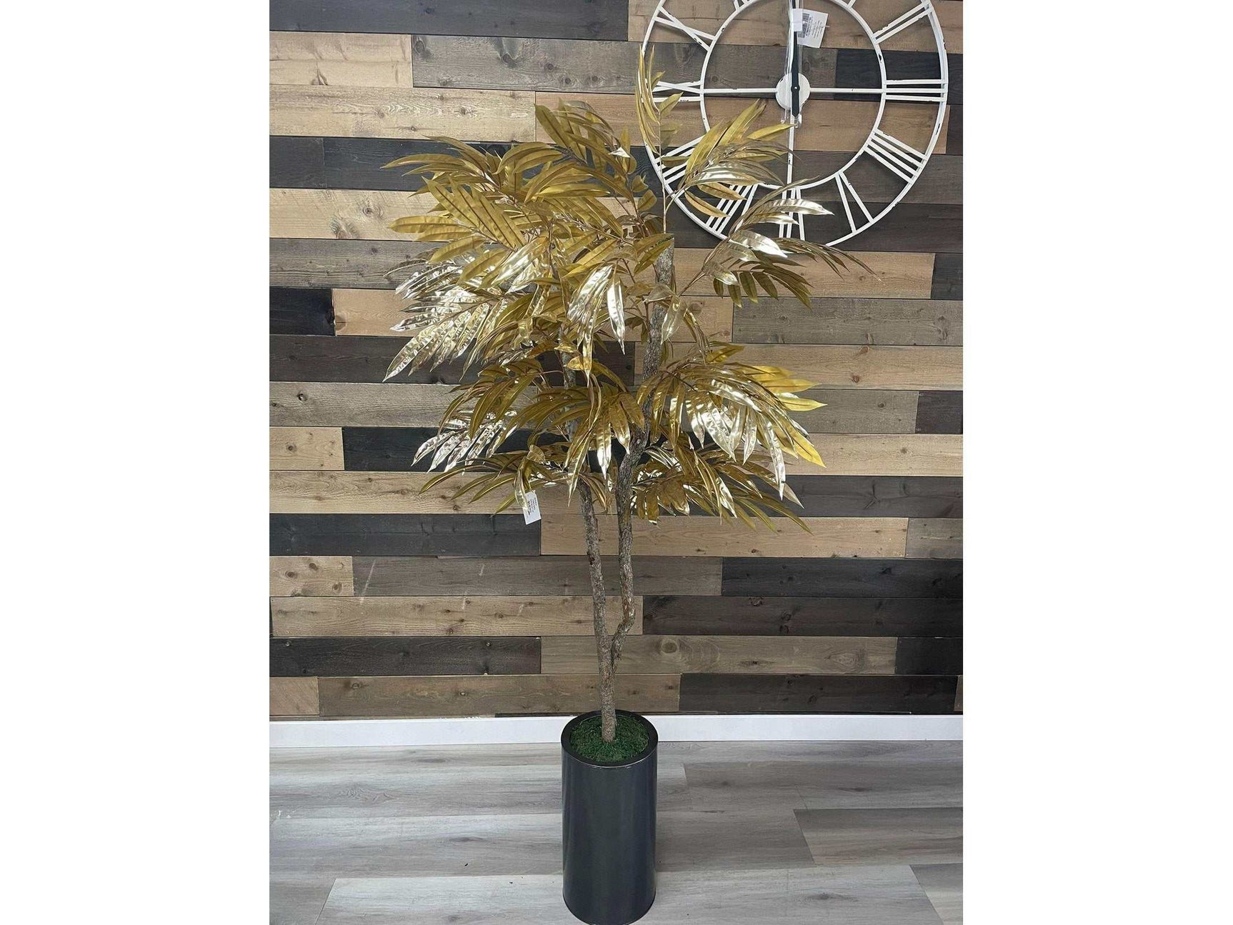 Gold Mango Tree / 6’ - Ornate Home