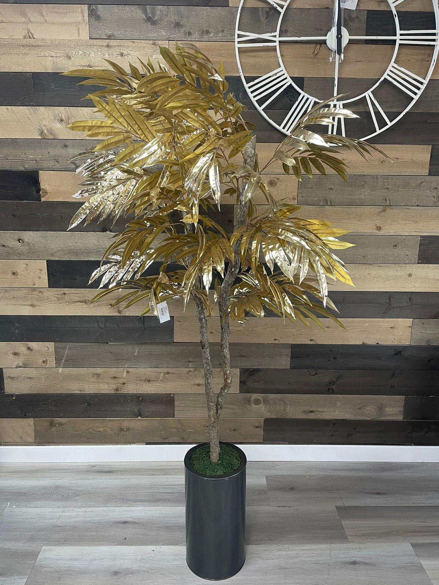 Gold Mango Tree / 6’ - Ornate Home