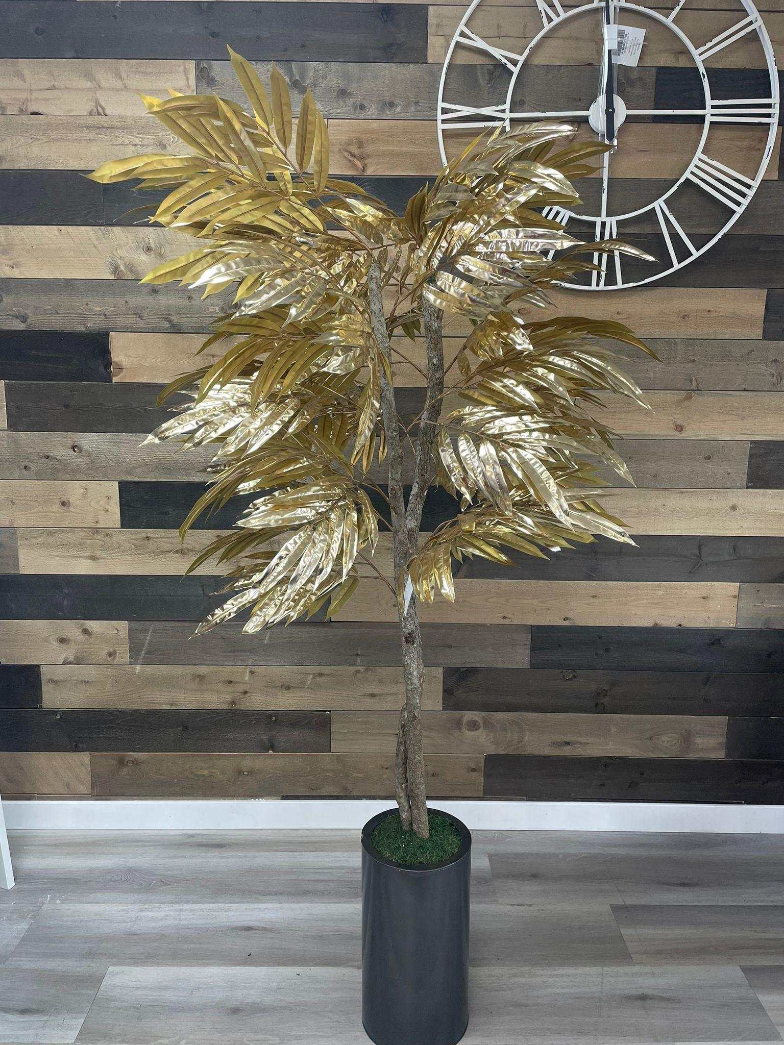 Gold Mango Tree / 6’ - Ornate Home