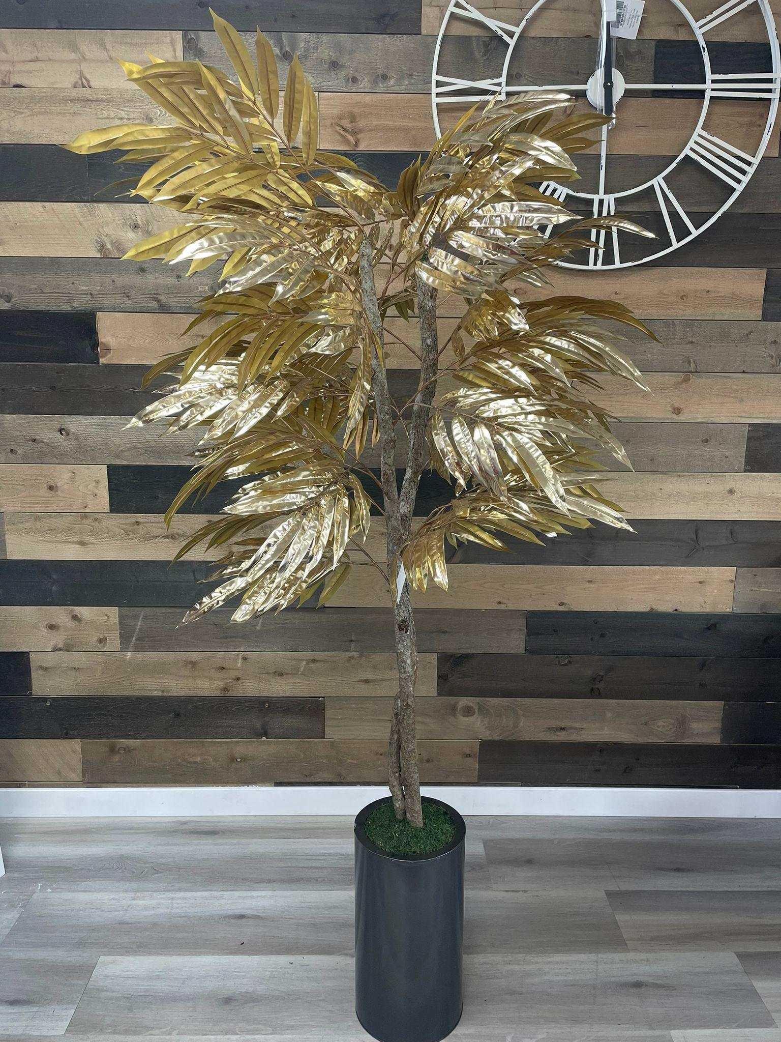 Gold Mango Tree / 6’ - Ornate Home
