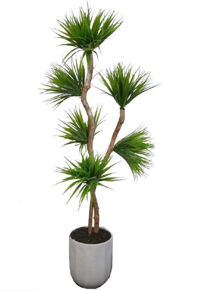 Grassy Yucca on Dragon Wood in White Metal / 6’ - Ornate Home