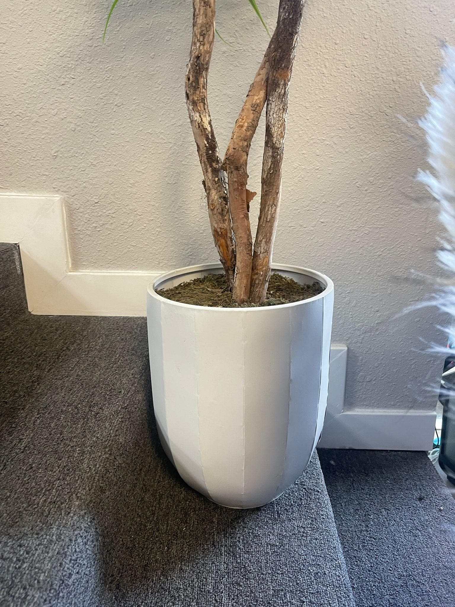 Grassy Yucca on Dragon Wood in White Metal / 6’ - Ornate Home