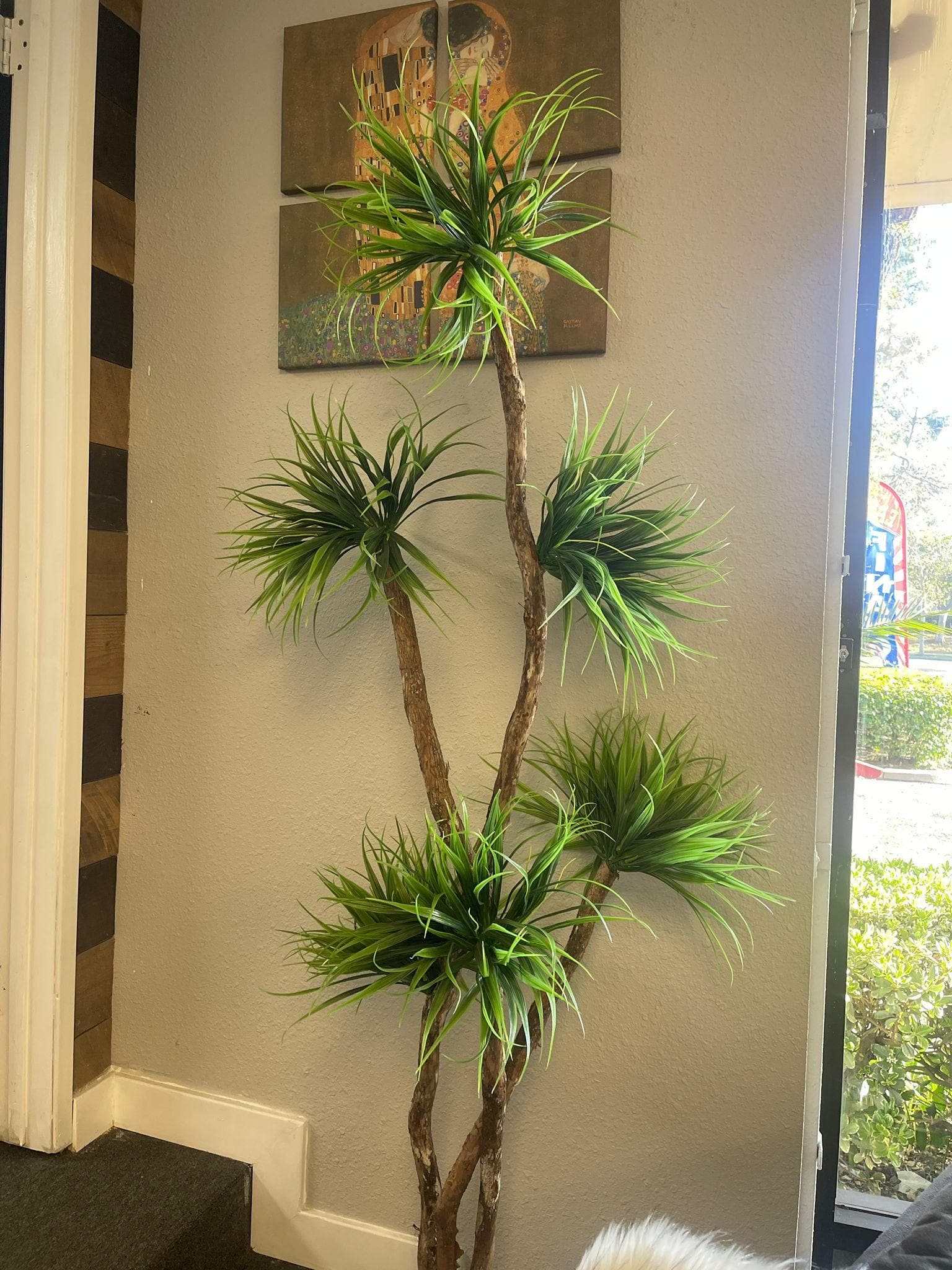 Grassy Yucca on Dragon Wood in White Metal / 6’ - Ornate Home