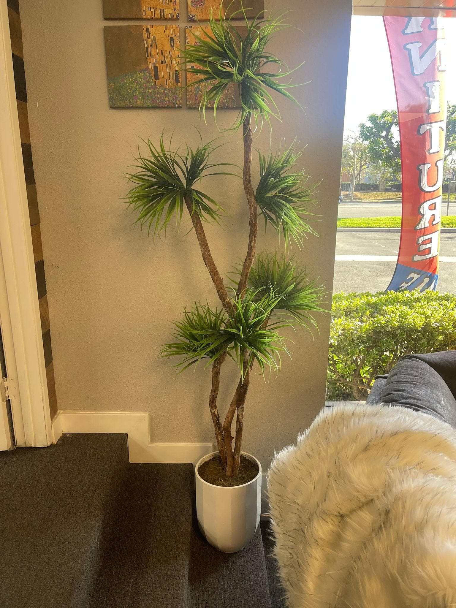 Grassy Yucca on Dragon Wood in White Metal / 6’ - Ornate Home