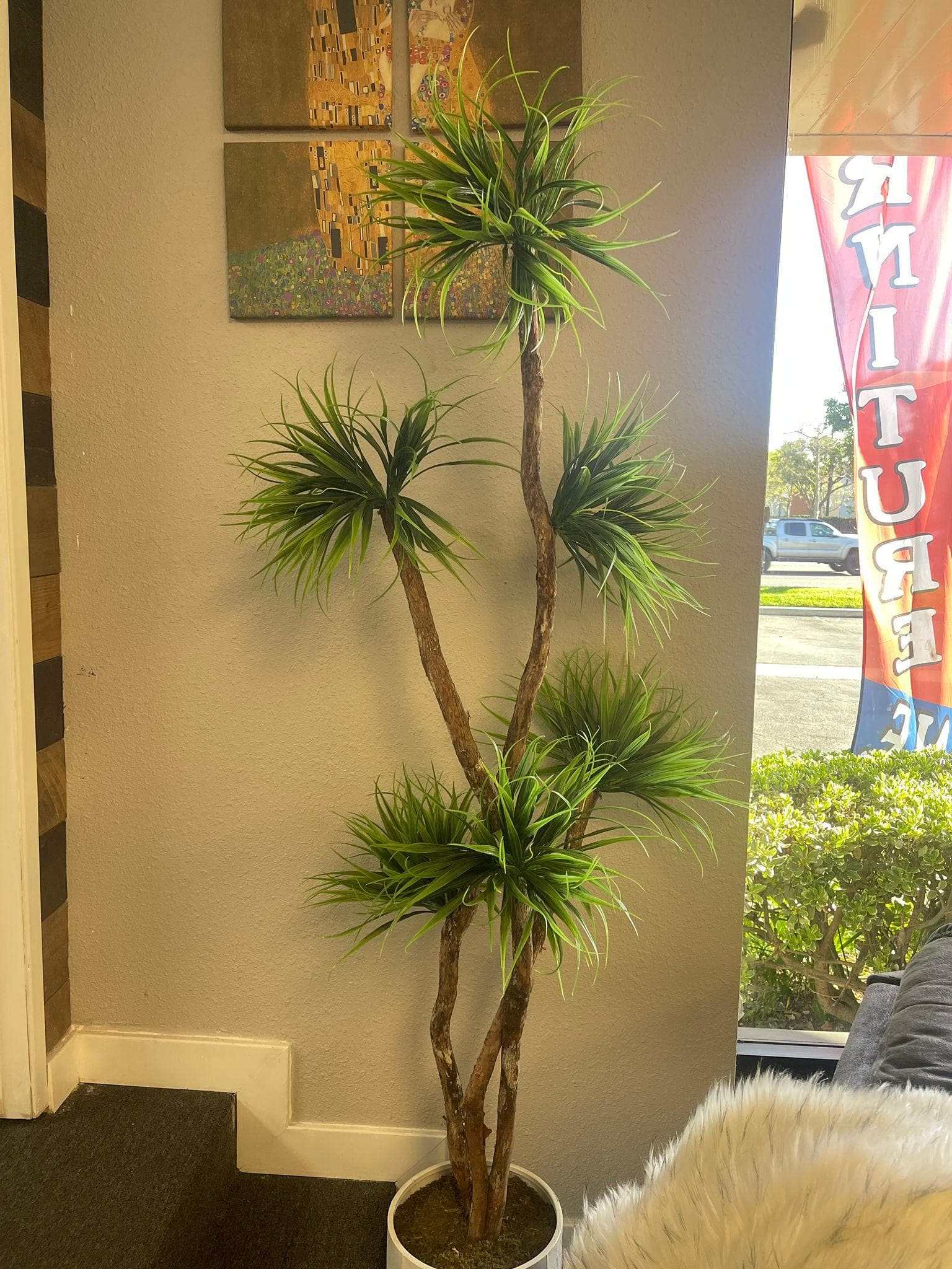 Grassy Yucca on Dragon Wood in White Metal / 6’ - Ornate Home