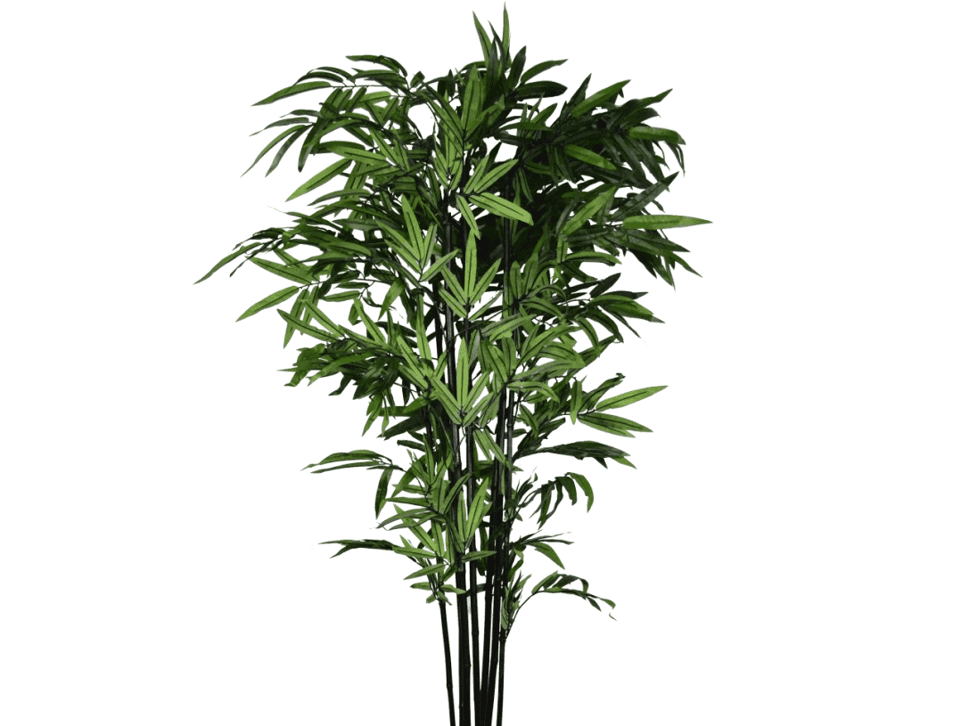 Green Bamboo / 6.5’ - Ornate Home