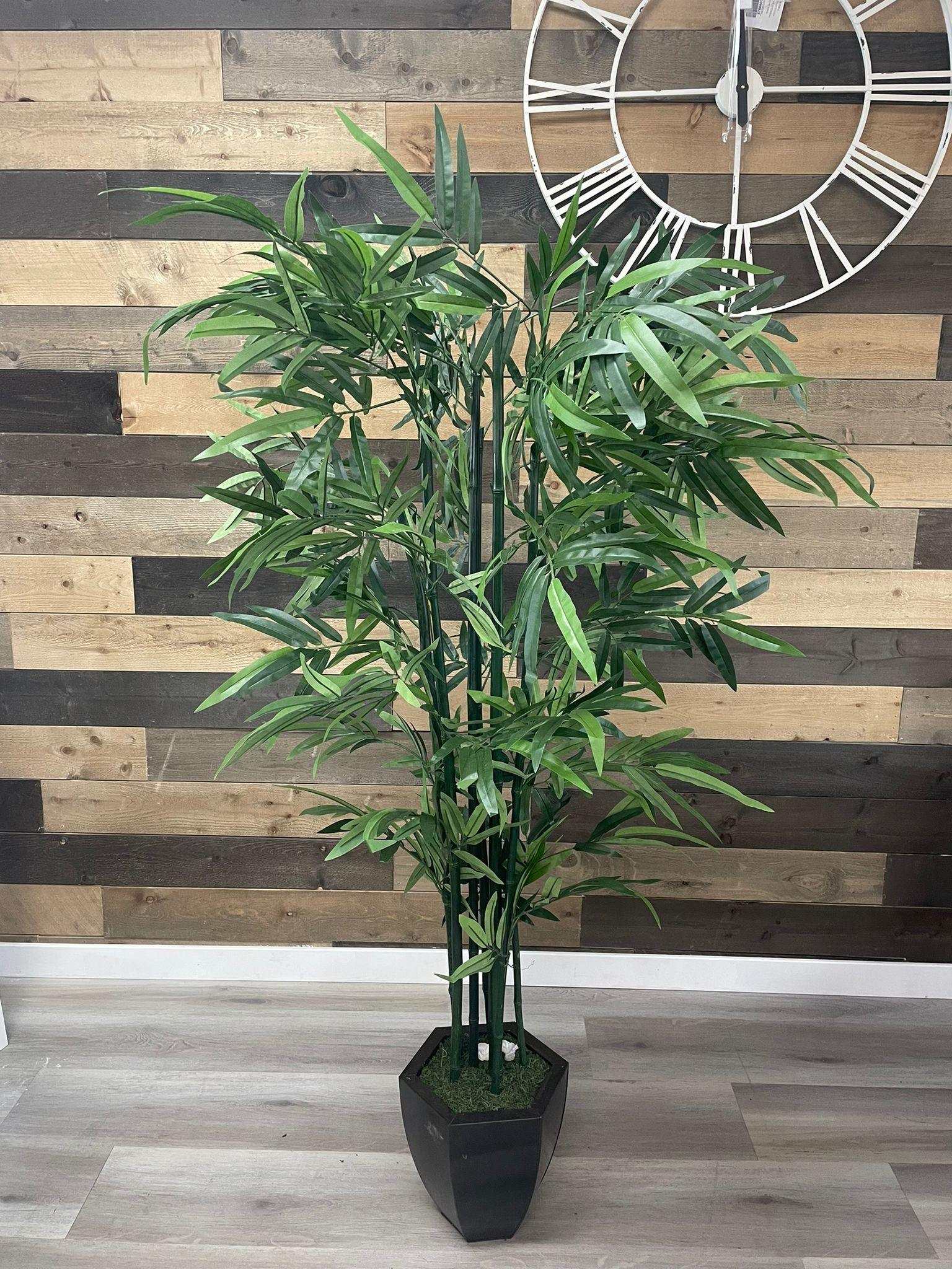 Green Bamboo / 6.5’ - Ornate Home