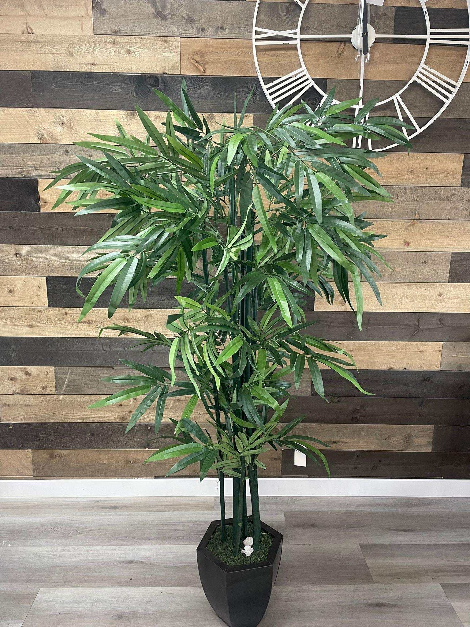 Green Bamboo / 6.5’ - Ornate Home