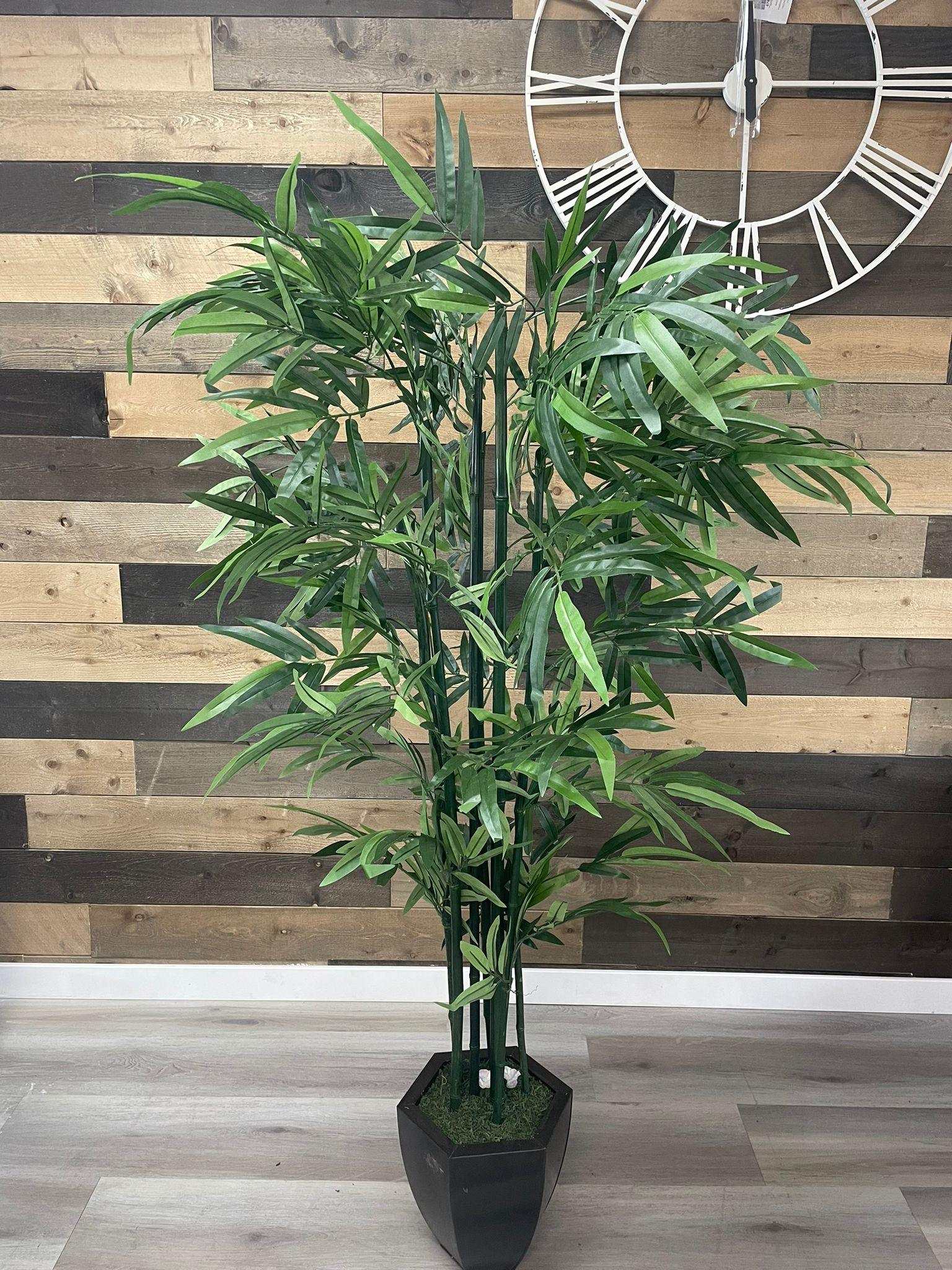 Green Bamboo / 6.5’ - Ornate Home