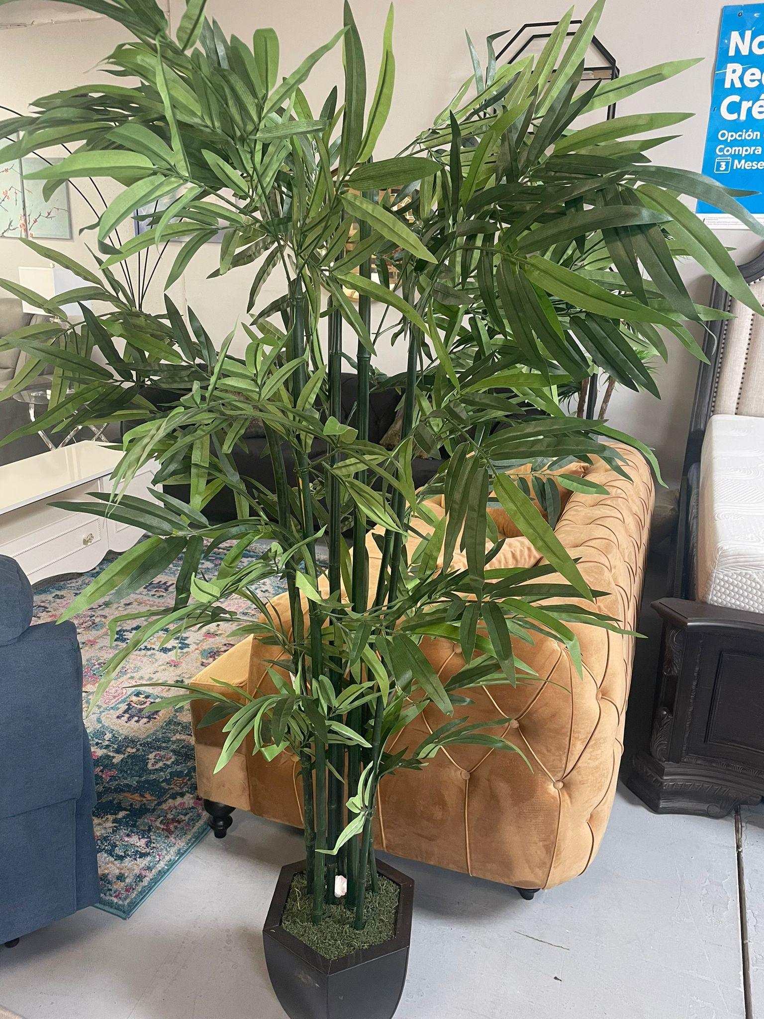 Green Bamboo / 6.5’ - Ornate Home